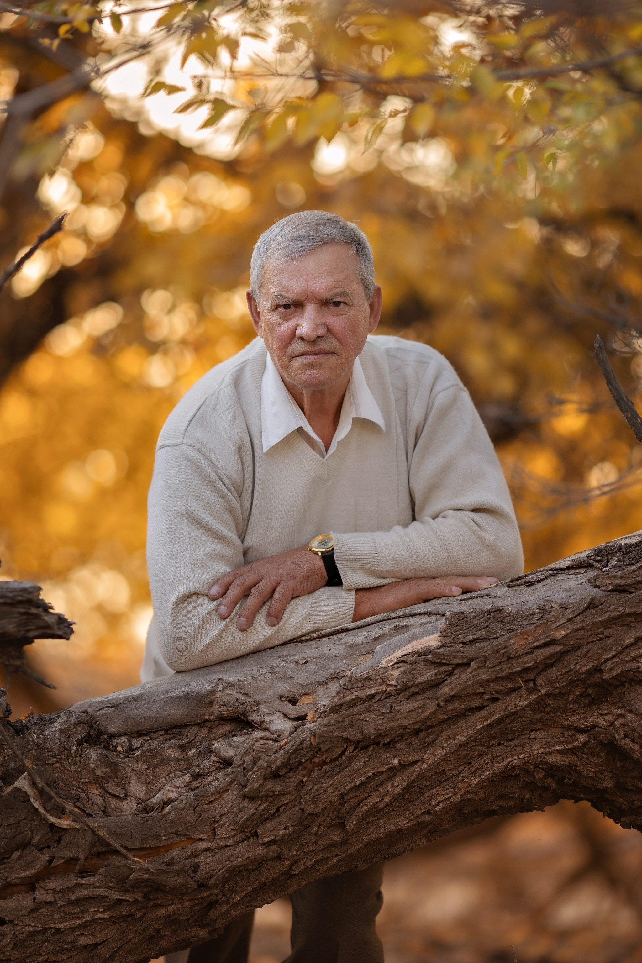 Осенняя история. Татьяна Бесчастнова. Ваш семейный фотограф