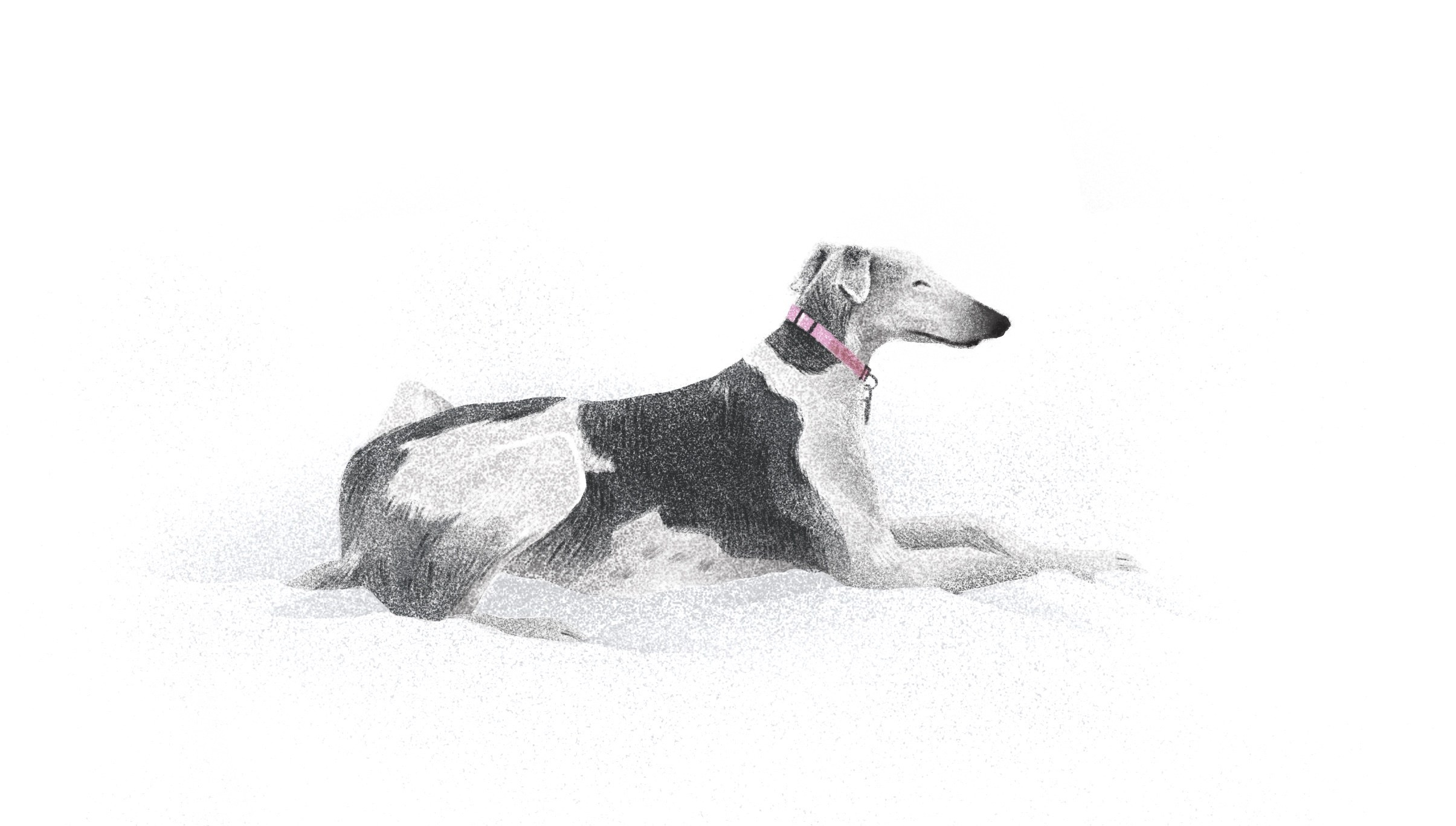 Daily illustrations. Современная художница Диана Рогаткина