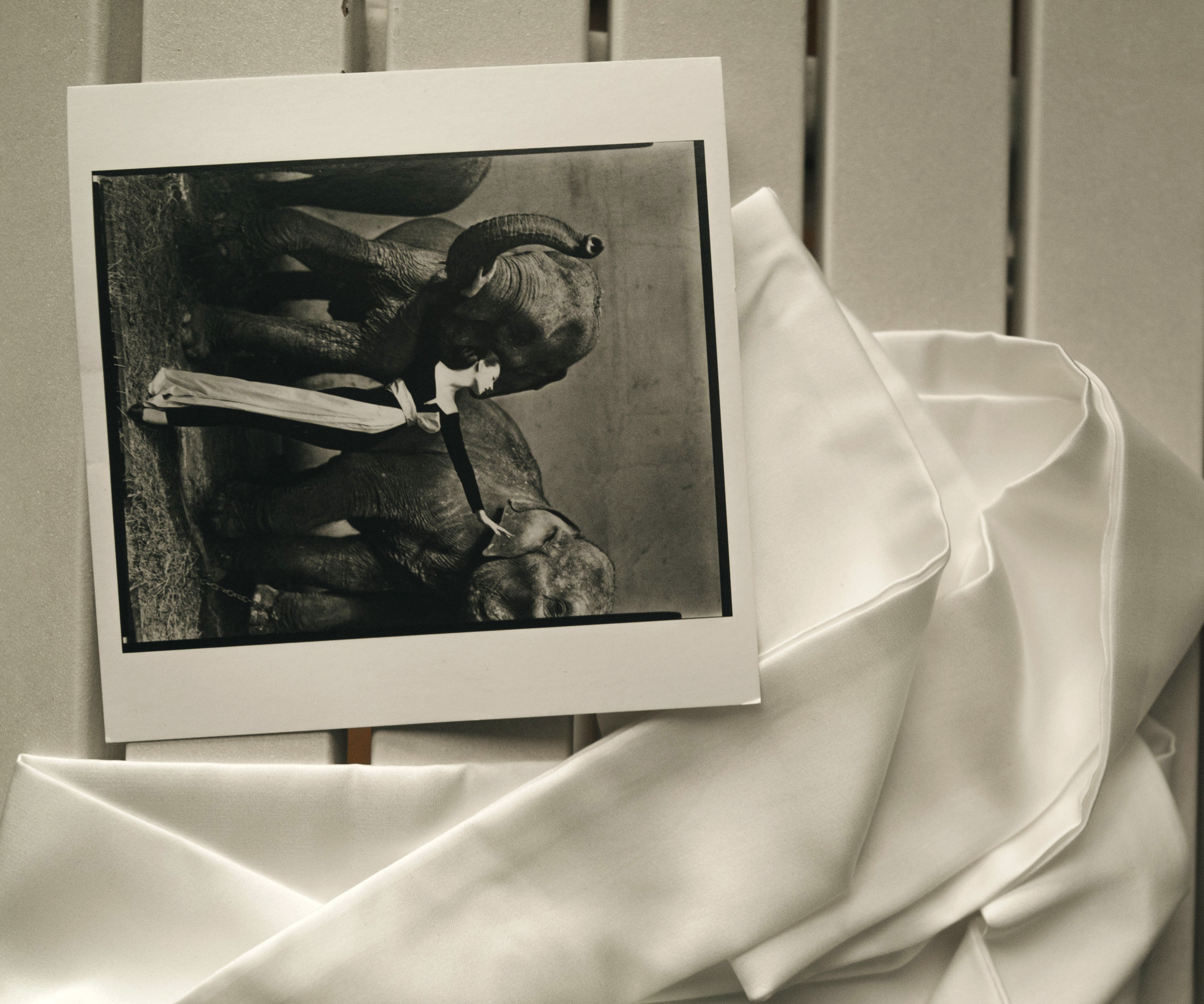 Натали и Дмитрий (bckstg). Фотограф в Коврове и области Филенкова Дарья