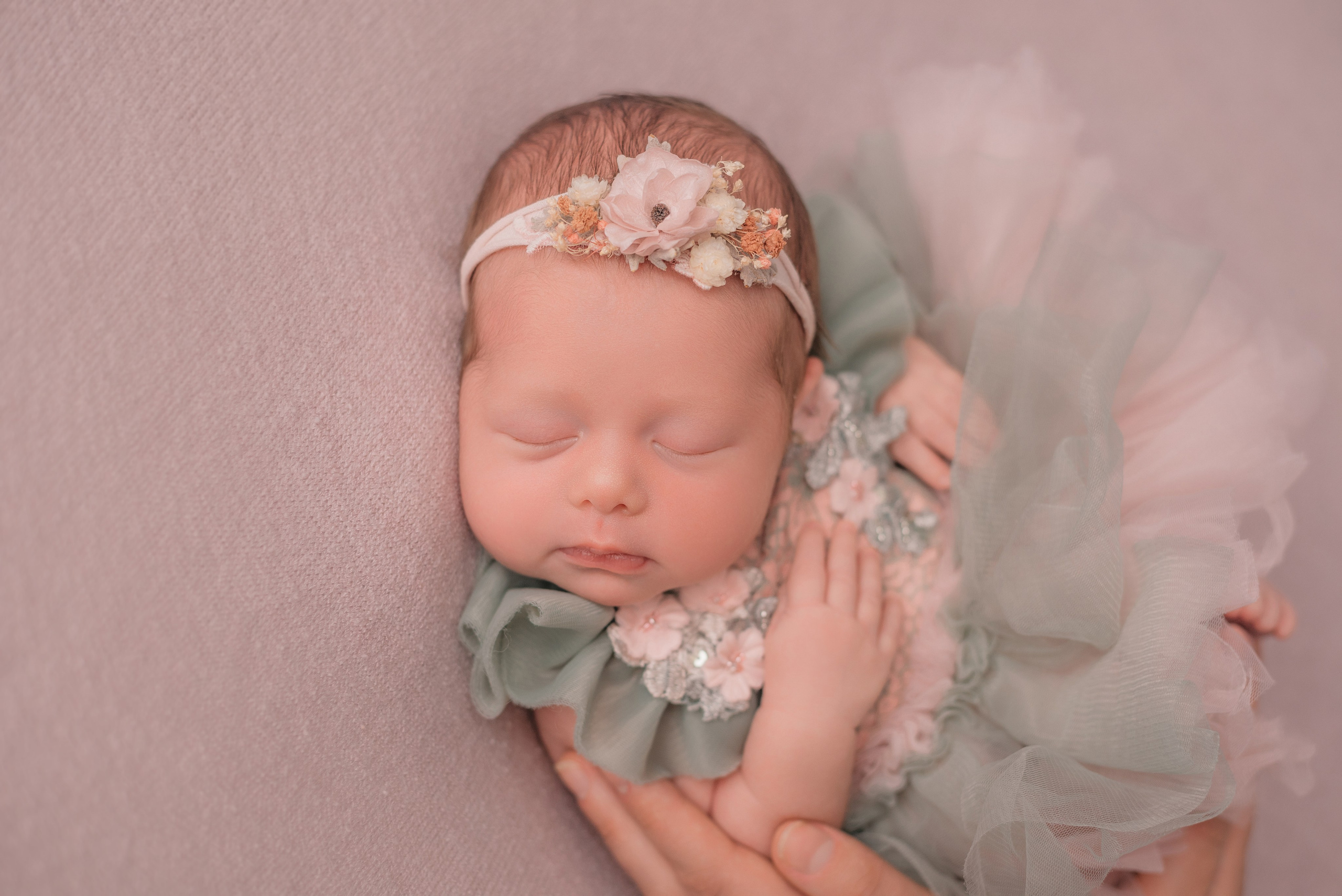 Арина. Фотограф новорожденных Белгород