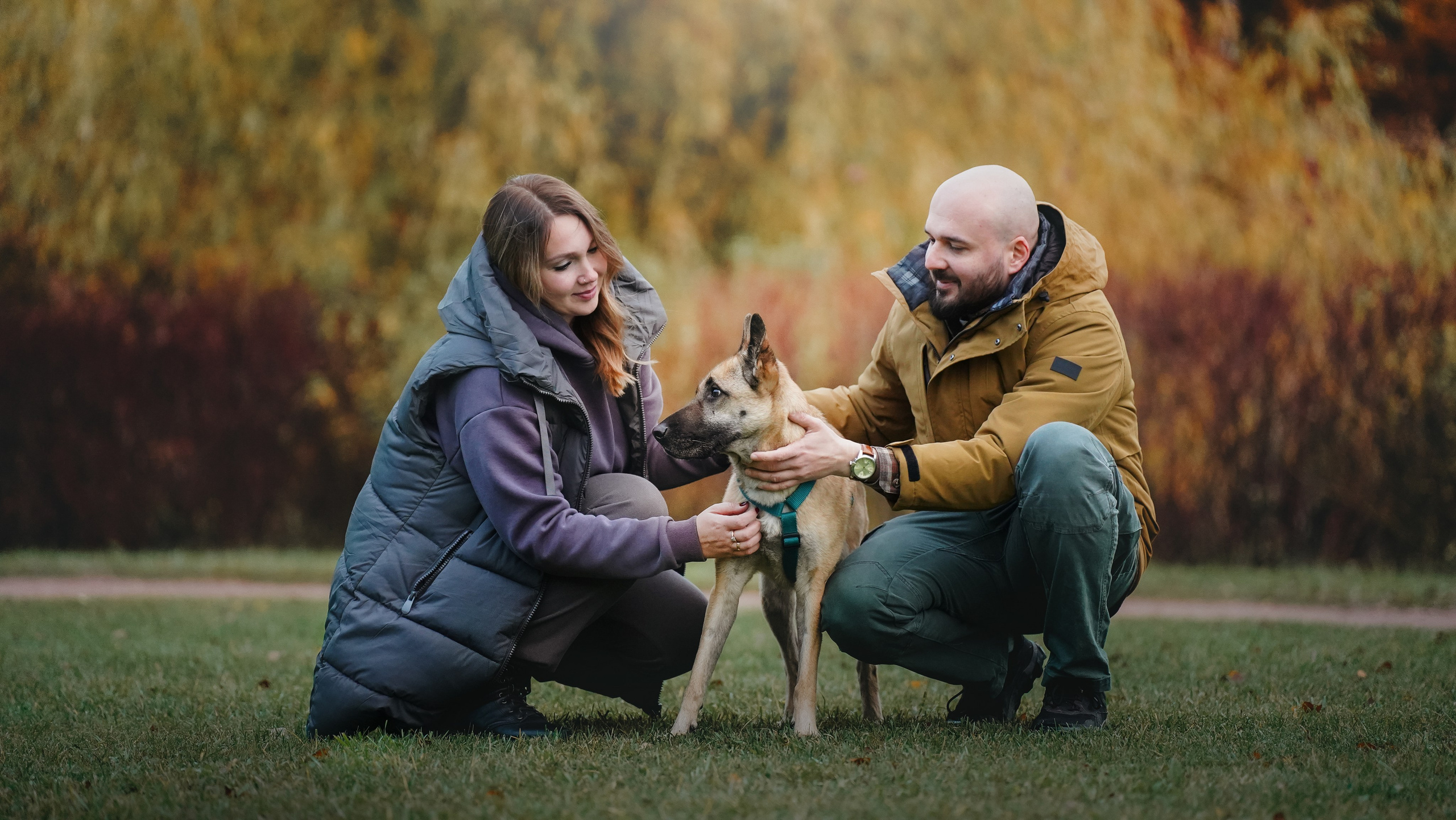 Наталия, Иван и Урса. Фотограф анималист в Москве и Санкт-Петербурге Свиридова Анна