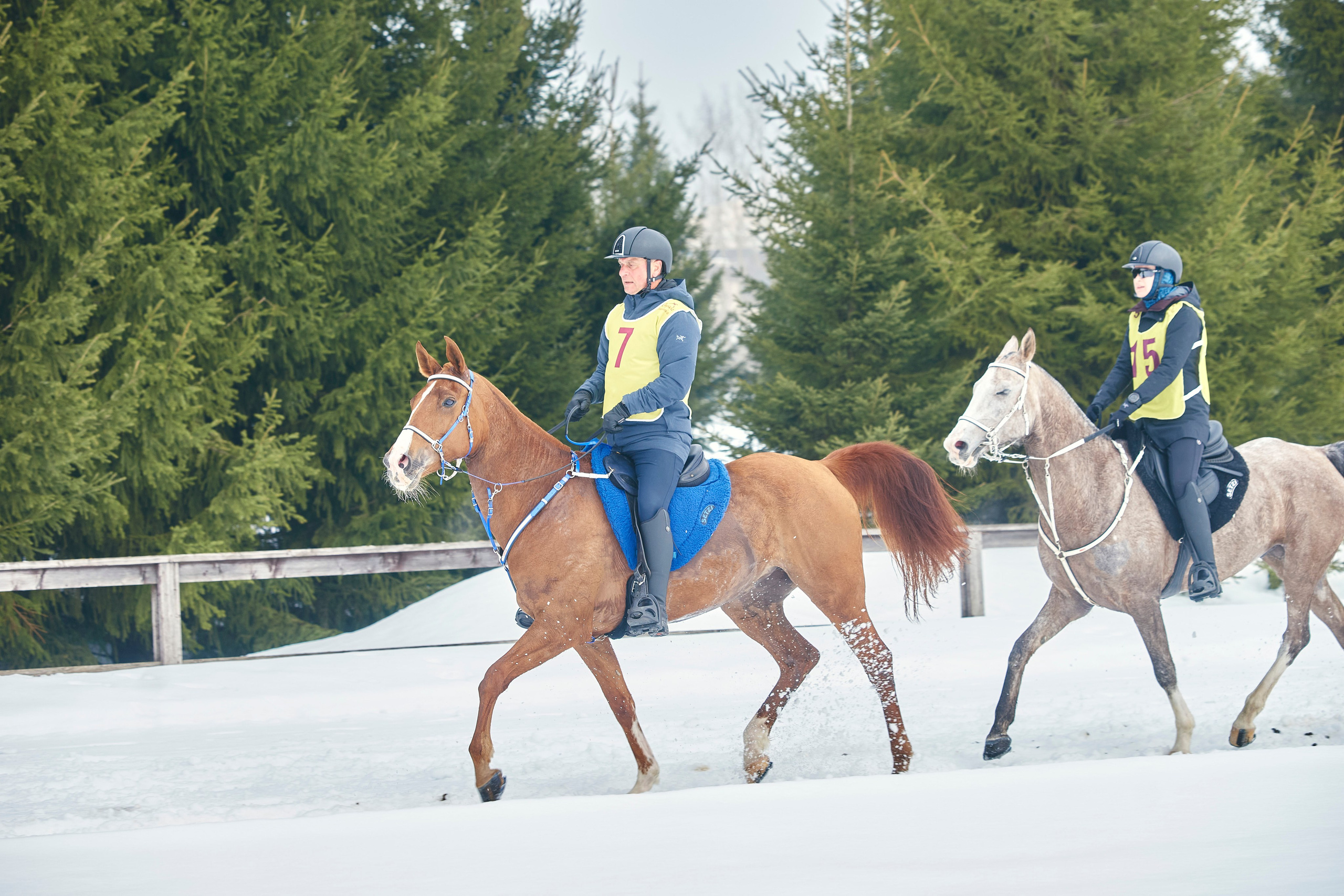 HORSE RACING. Фотограф Наталья Леонова