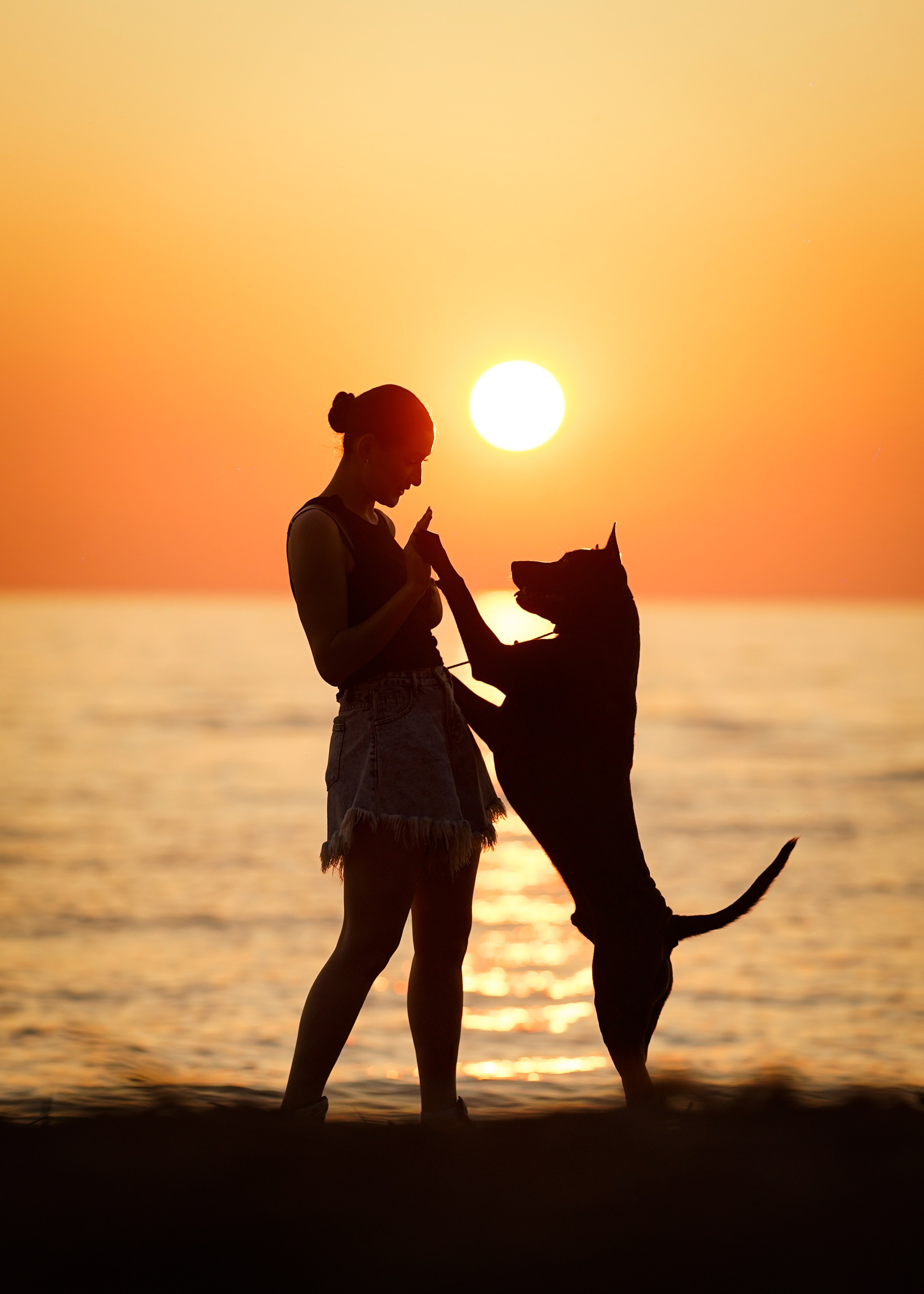 Вероника и Адам. Фотограф-анималист в Санкт-Петербурге Яна Мартынова