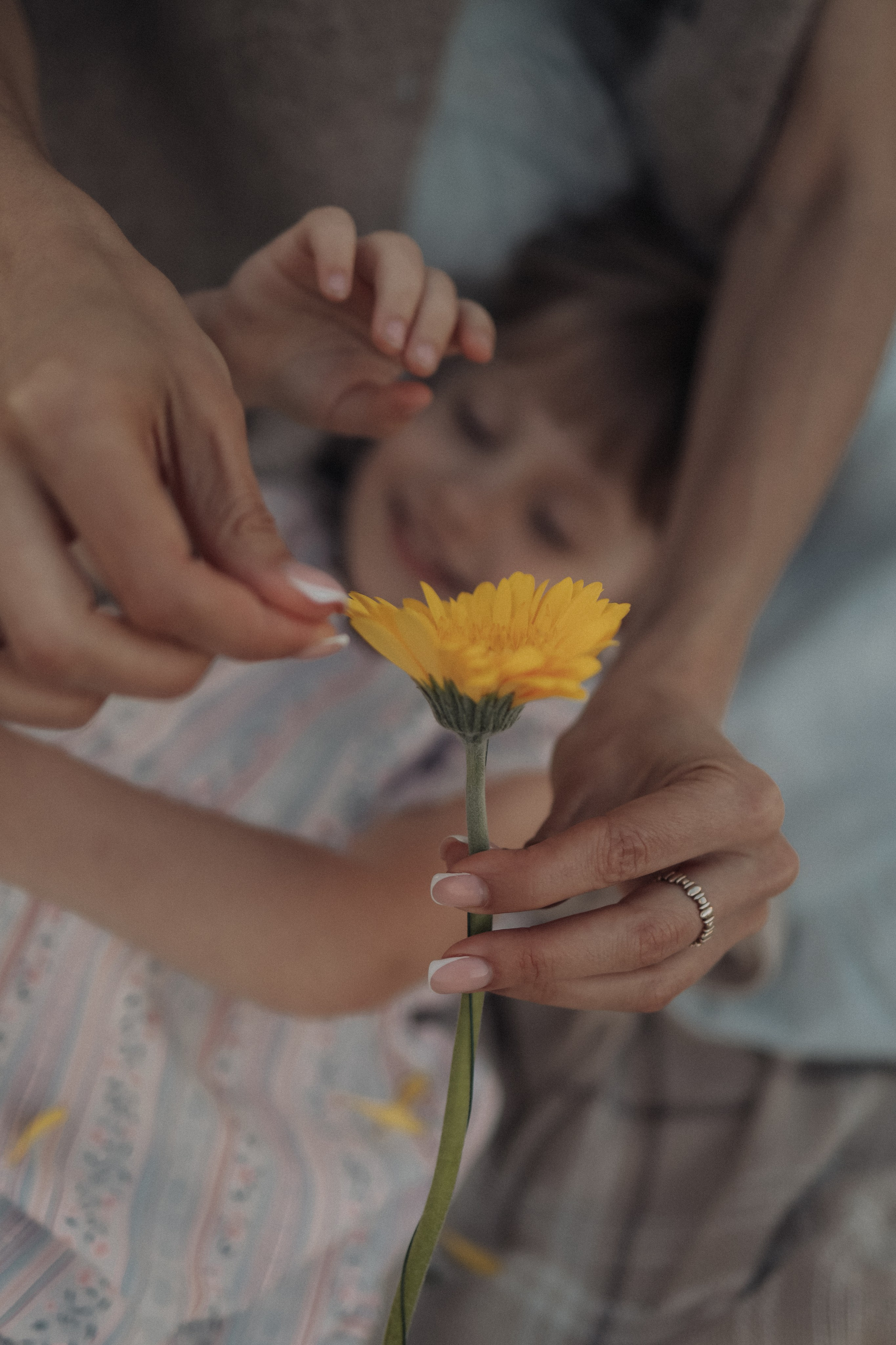 Этот особенный День. Марина Мужиченкова. Семейная и детская фотосъёмка в Москве