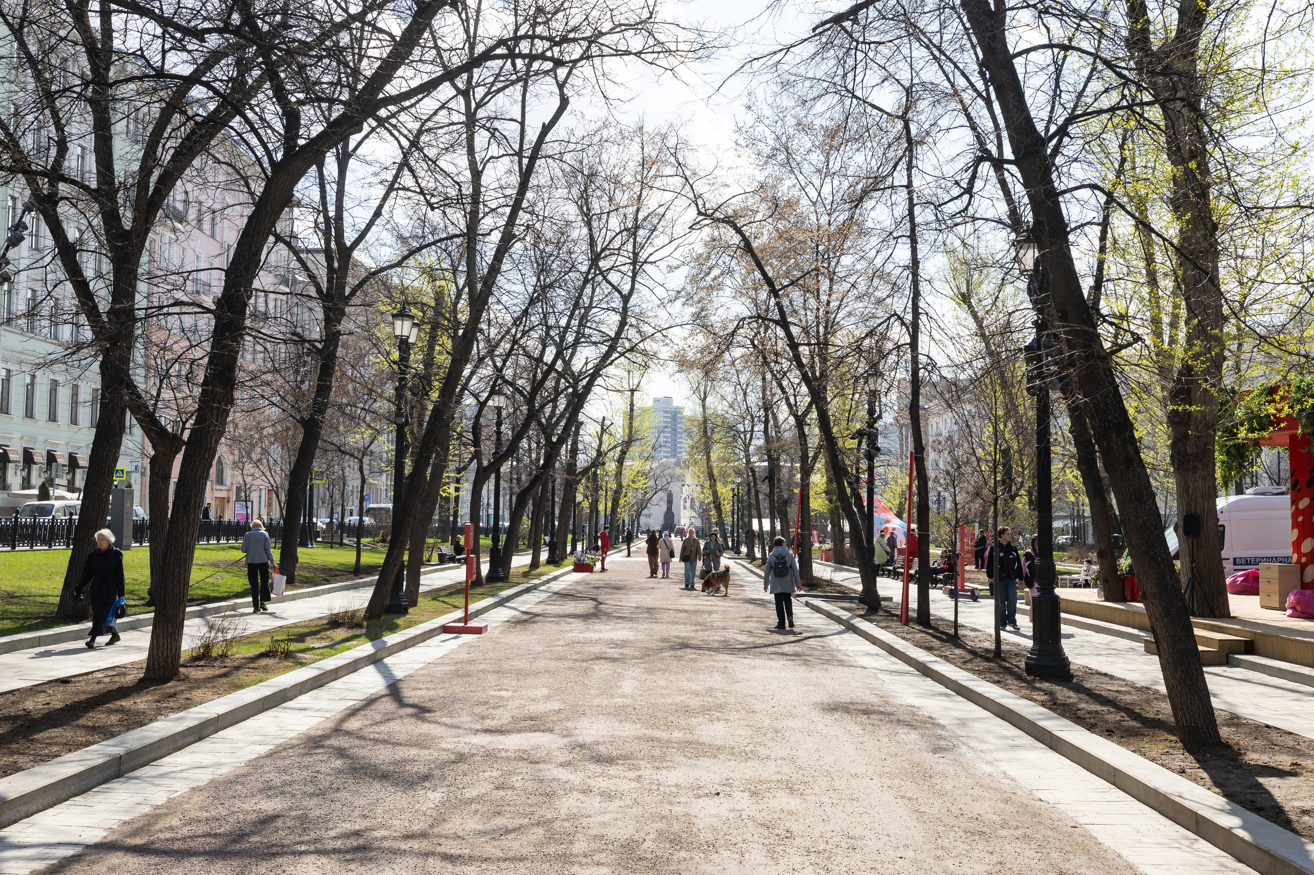 Проект «Моспитомец» на Тверском бульваре. Фотограф Владимир Охрименко