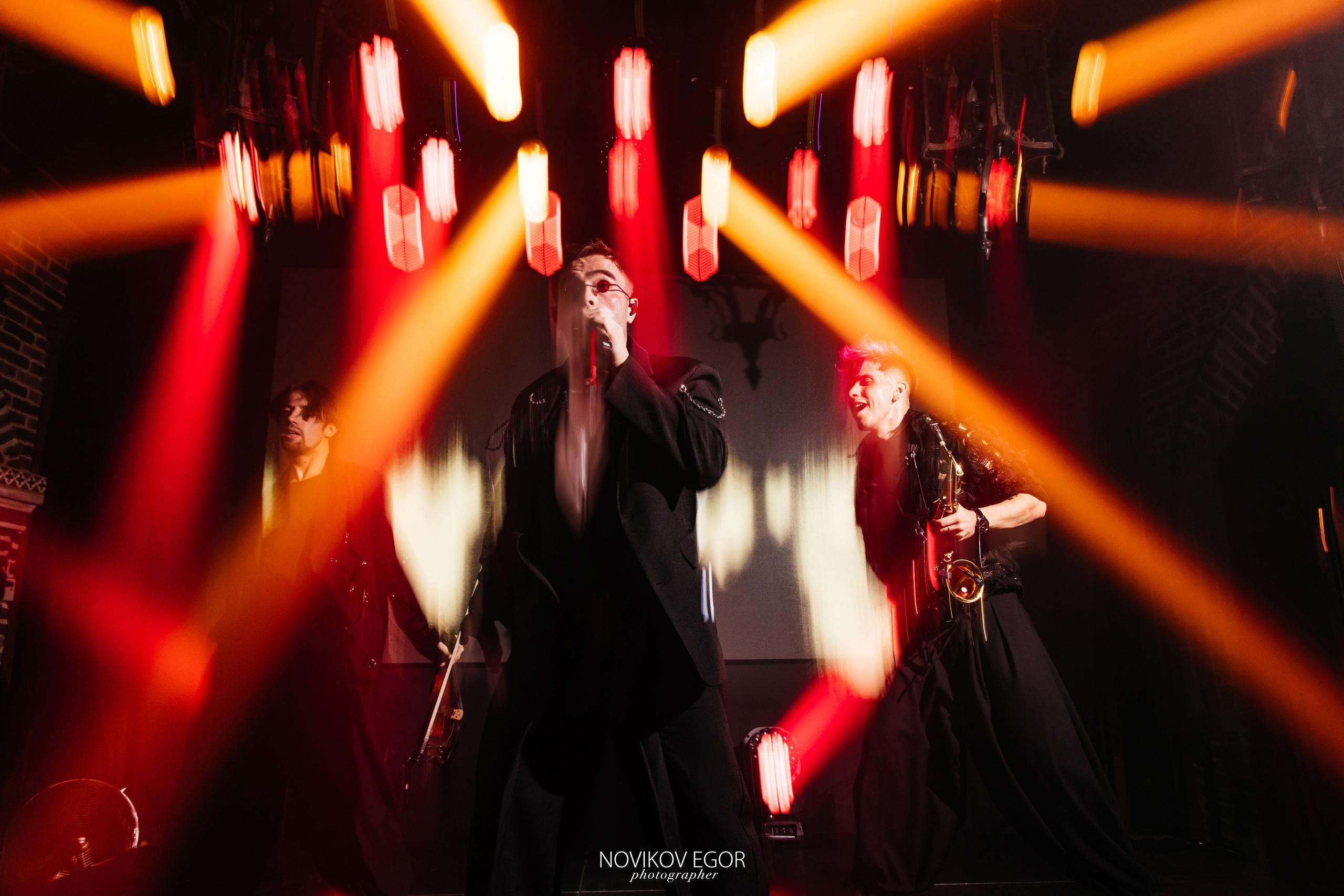 Анютины Глазки. Фотограф Ростов-на-Дону