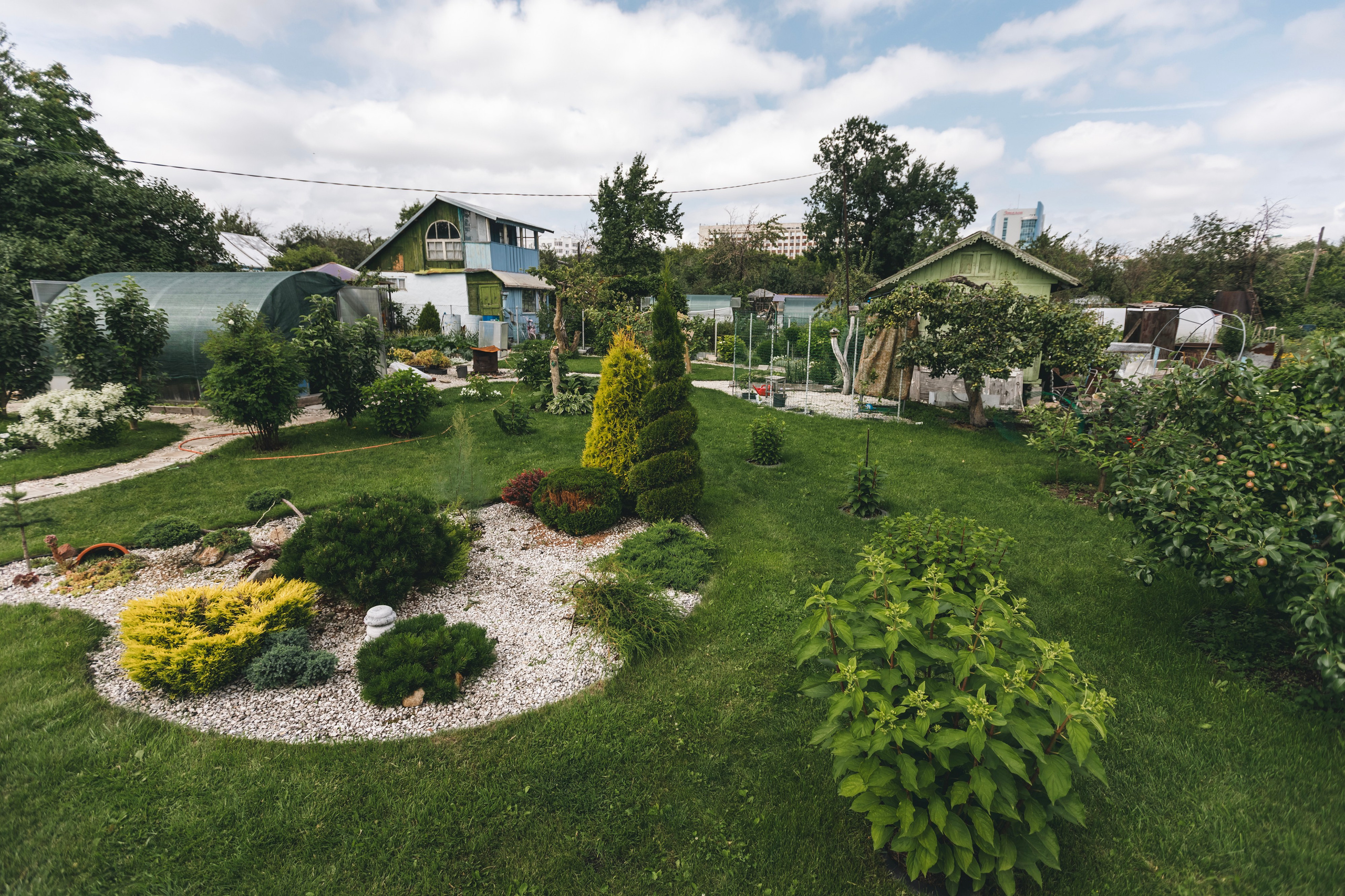 Любовь Георгиевна Пономарева. Садовод и ландшафтный дизайнер. Репортажный фотограф Наталья Лапцевич