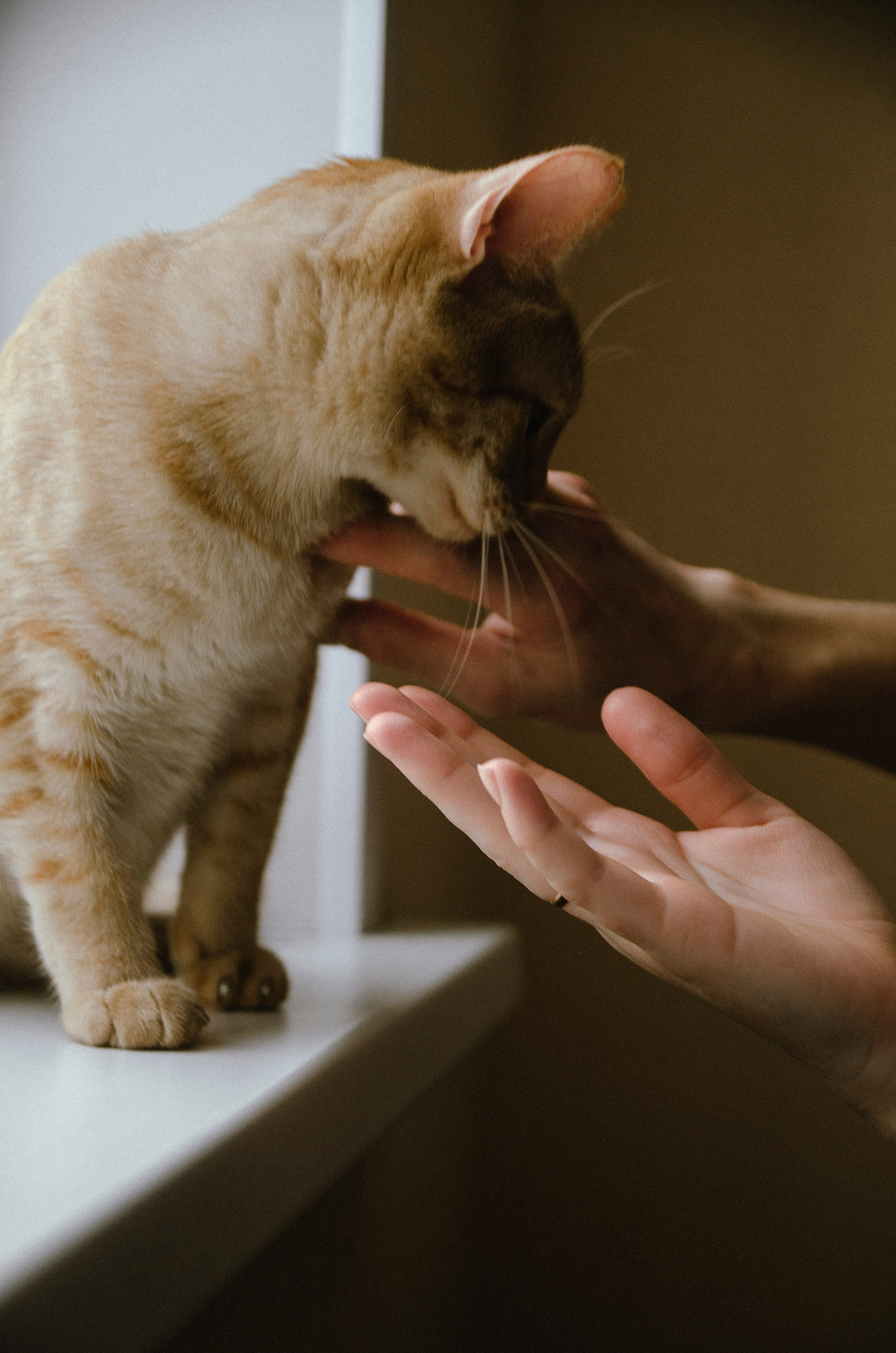 Домашняя уютная история. Lifestyle семейный и детский фотограф в Омске Иванова Екатерина