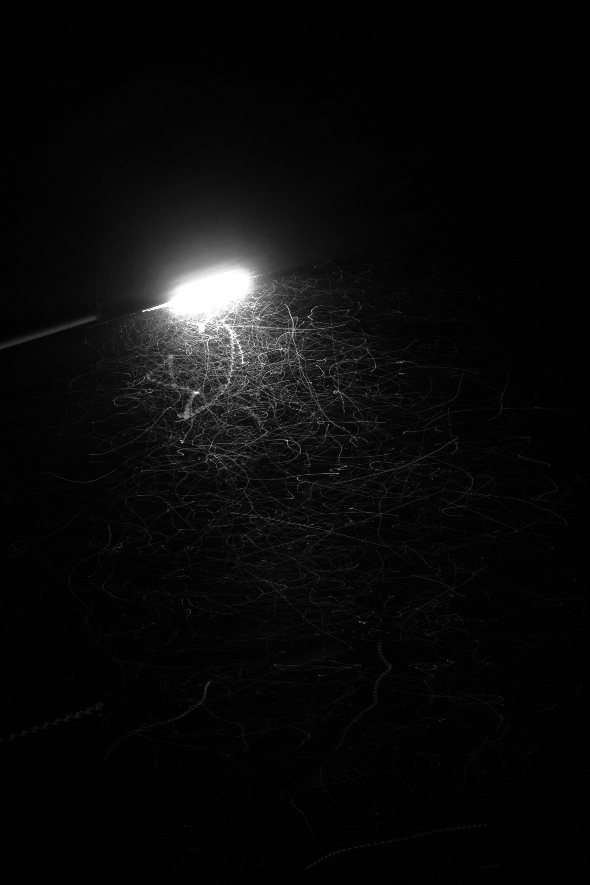 Conceptual. AndreyRKT Photo