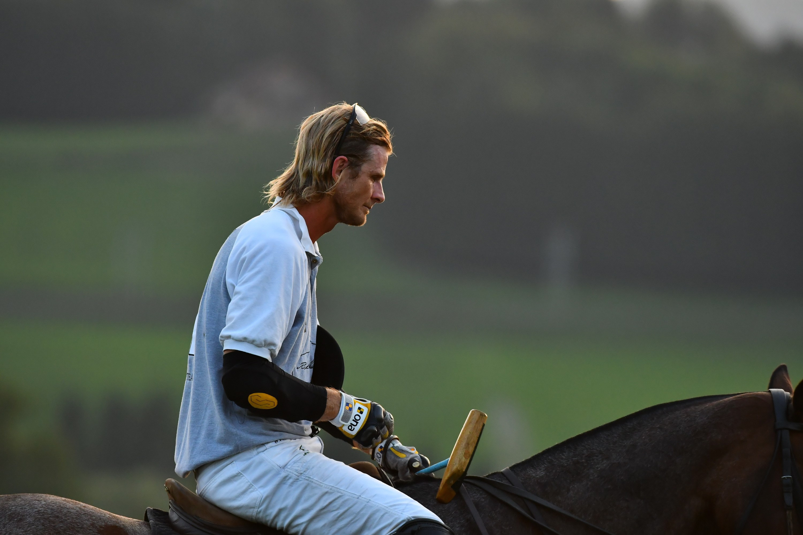 Polo art photos. Art photos of horses — ARTUR BABOEV | Photographer