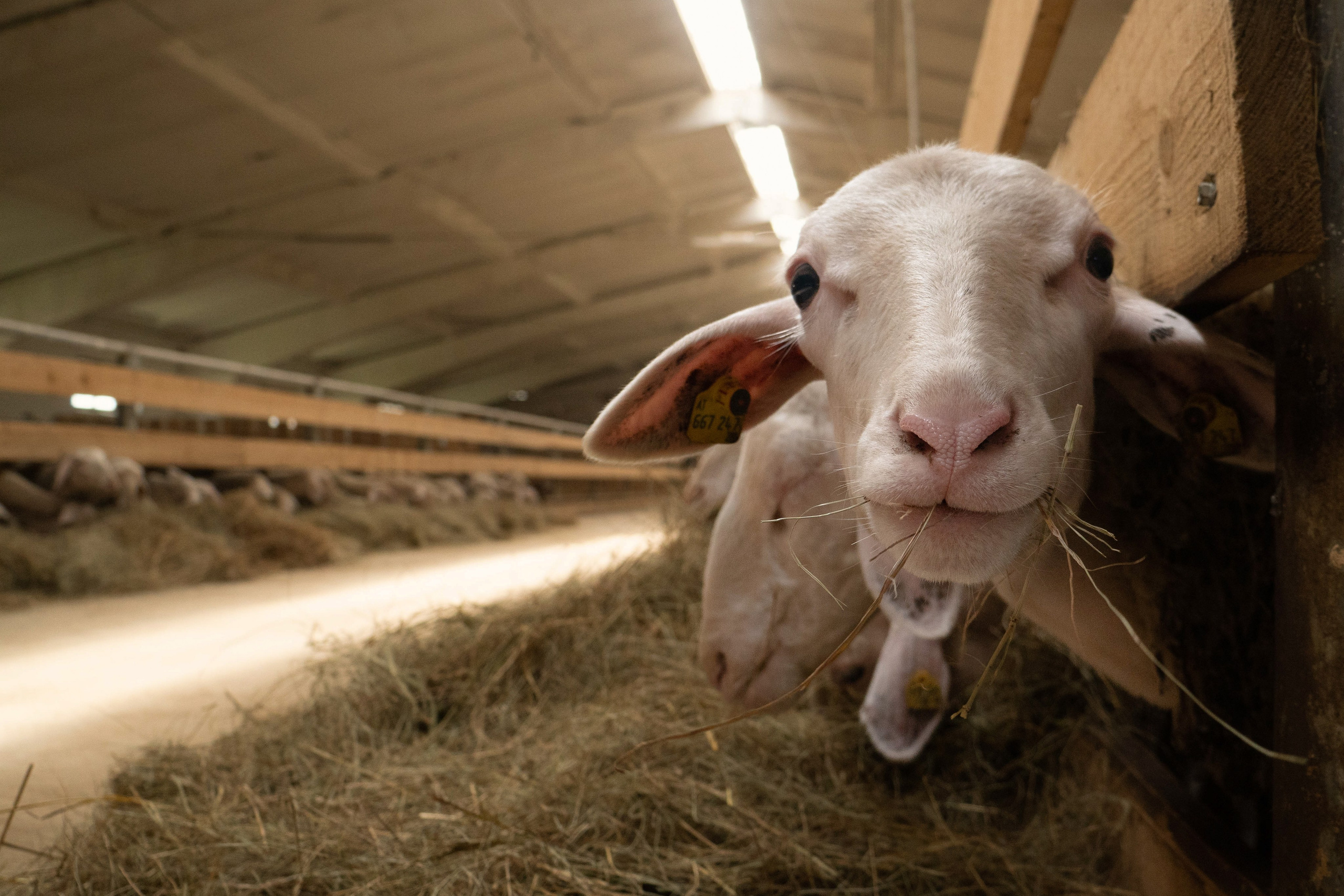 Промышленная фотография. Artur Photography