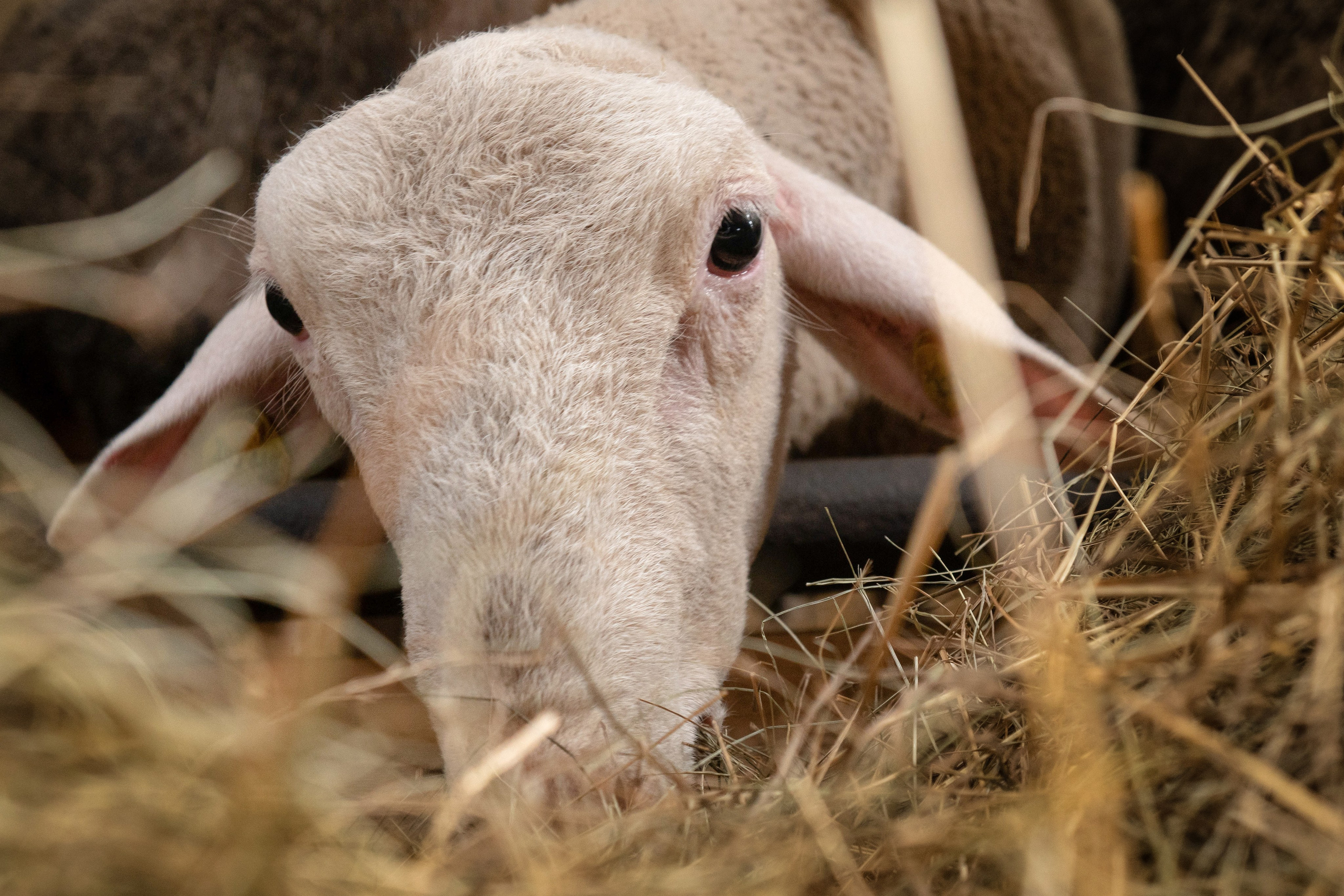 Промышленная фотография. Artur Photography