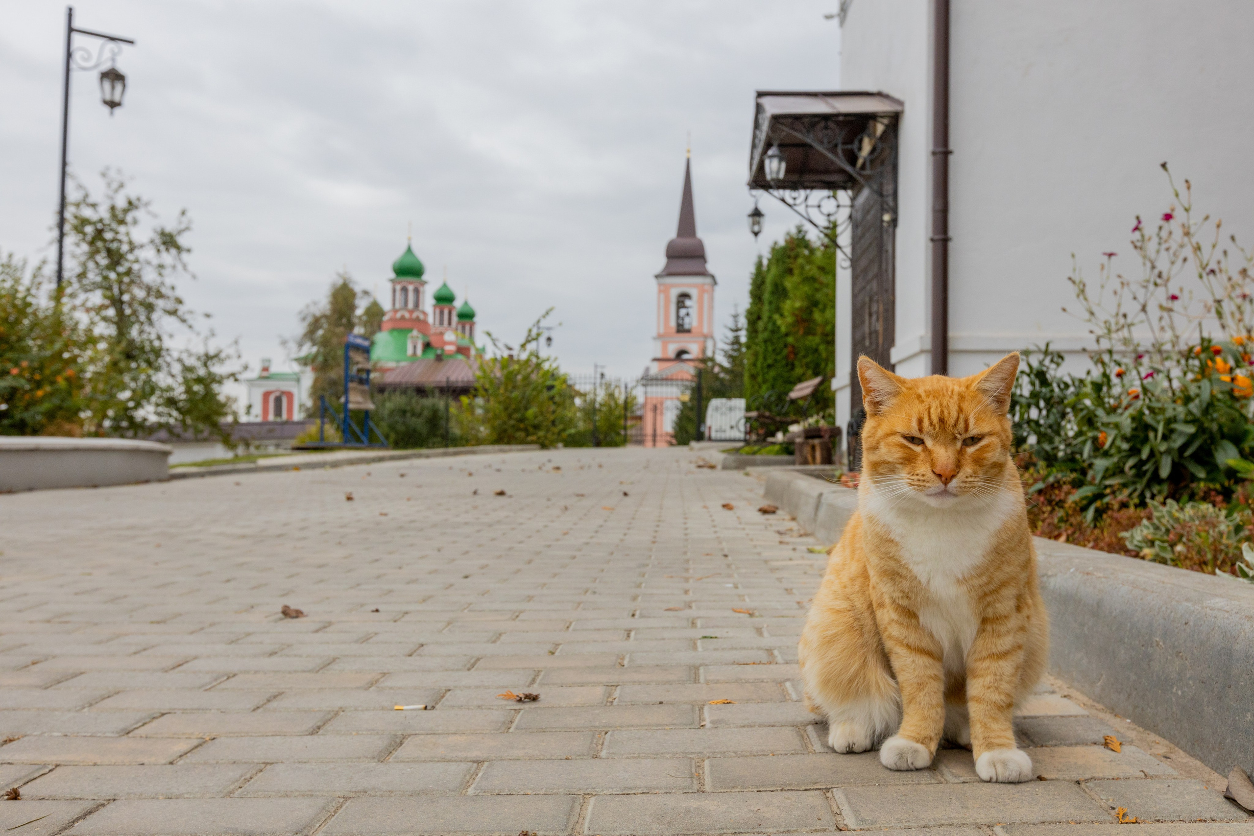 Поездка в Белев и на производство пастилы. Фотограф в Туле Крупский АнДРей. Фотостудия «КАДР71» в Туле