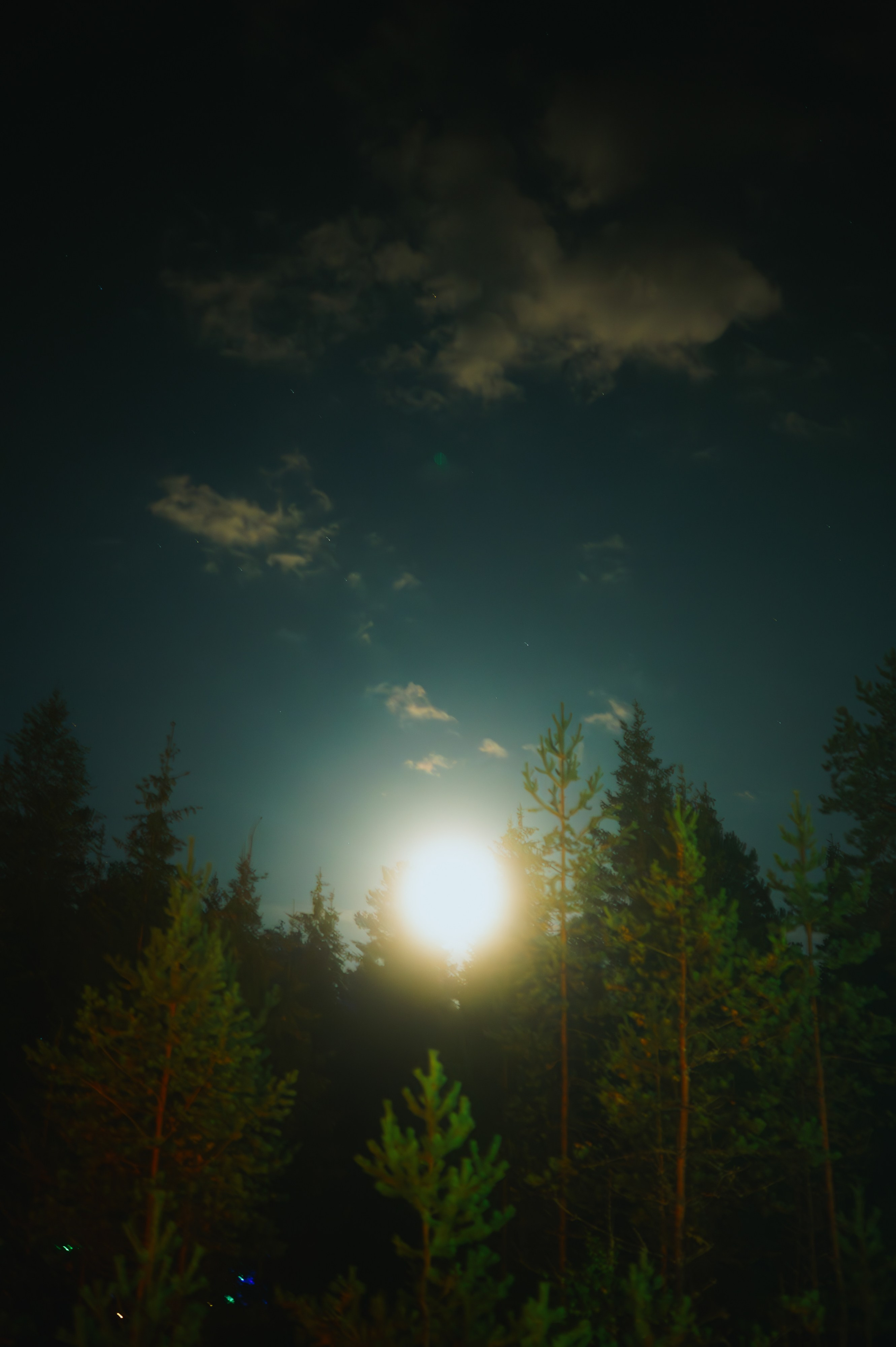 METADREAMS 2025. Контент фотограф Илья Урс