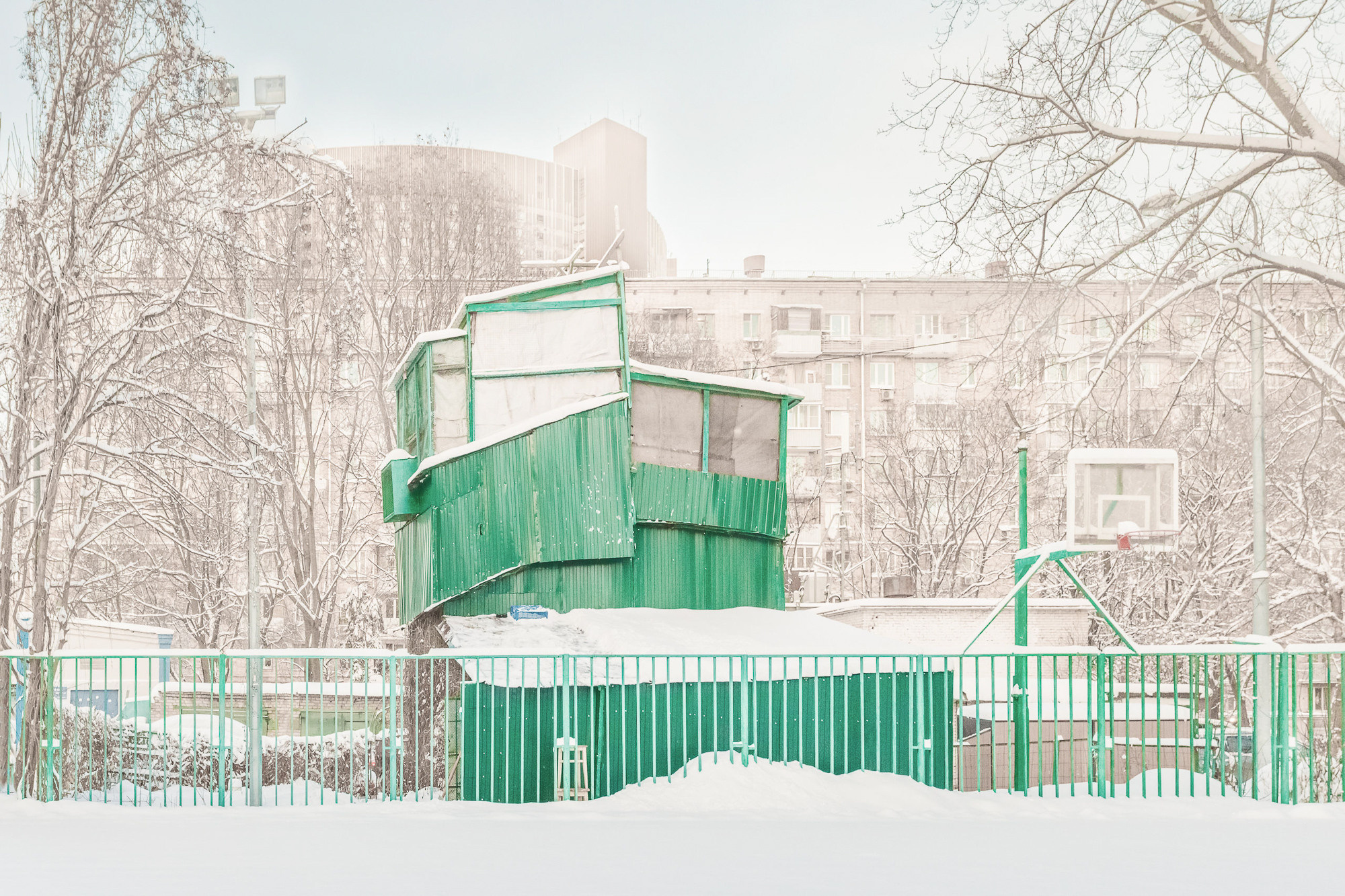 ПРОЕКТ «Они смотрят в небо, или На птичьих правах». Фотограф в Москве Татьяна Макотра