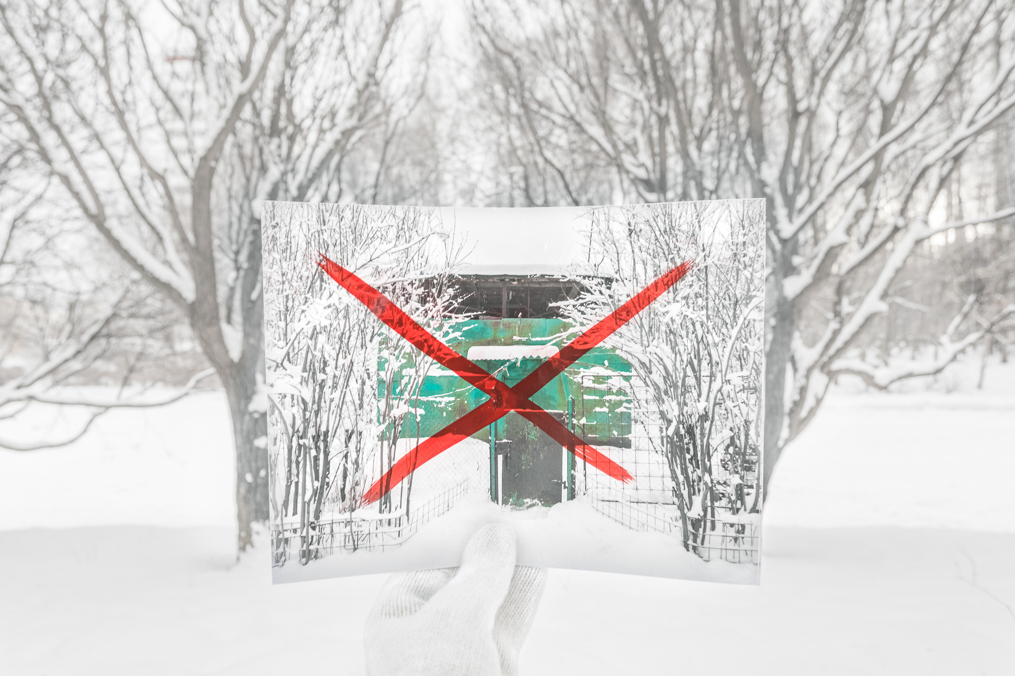 ПРОЕКТ «Они смотрят в небо, или На птичьих правах». Фотограф в Москве Татьяна Макотра