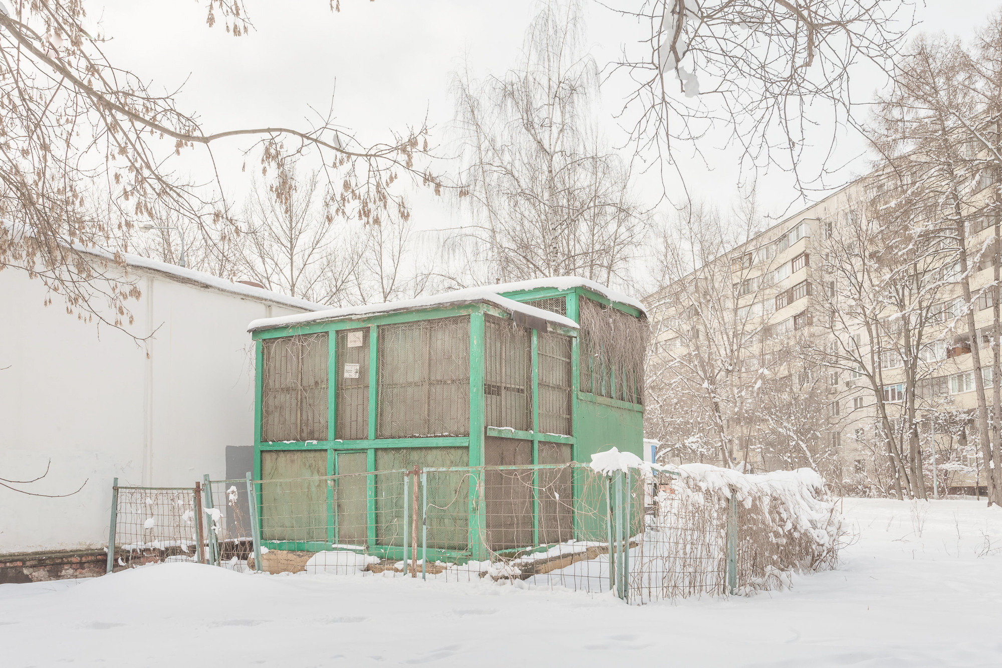 ПРОЕКТ «Они смотрят в небо, или На птичьих правах». Фотограф в Москве Татьяна Макотра