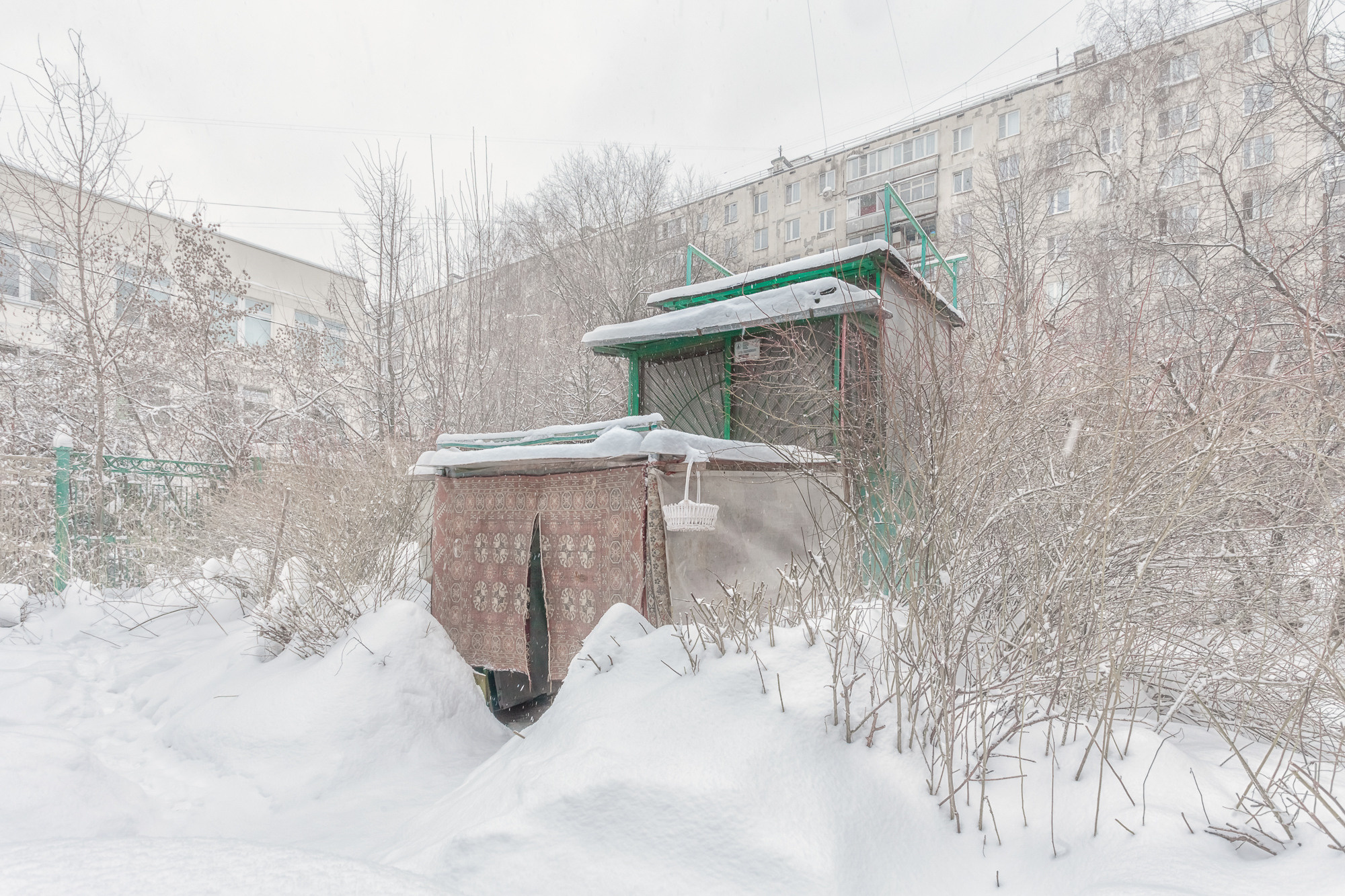 ПРОЕКТ «Они смотрят в небо, или На птичьих правах». Фотограф в Москве Татьяна Макотра