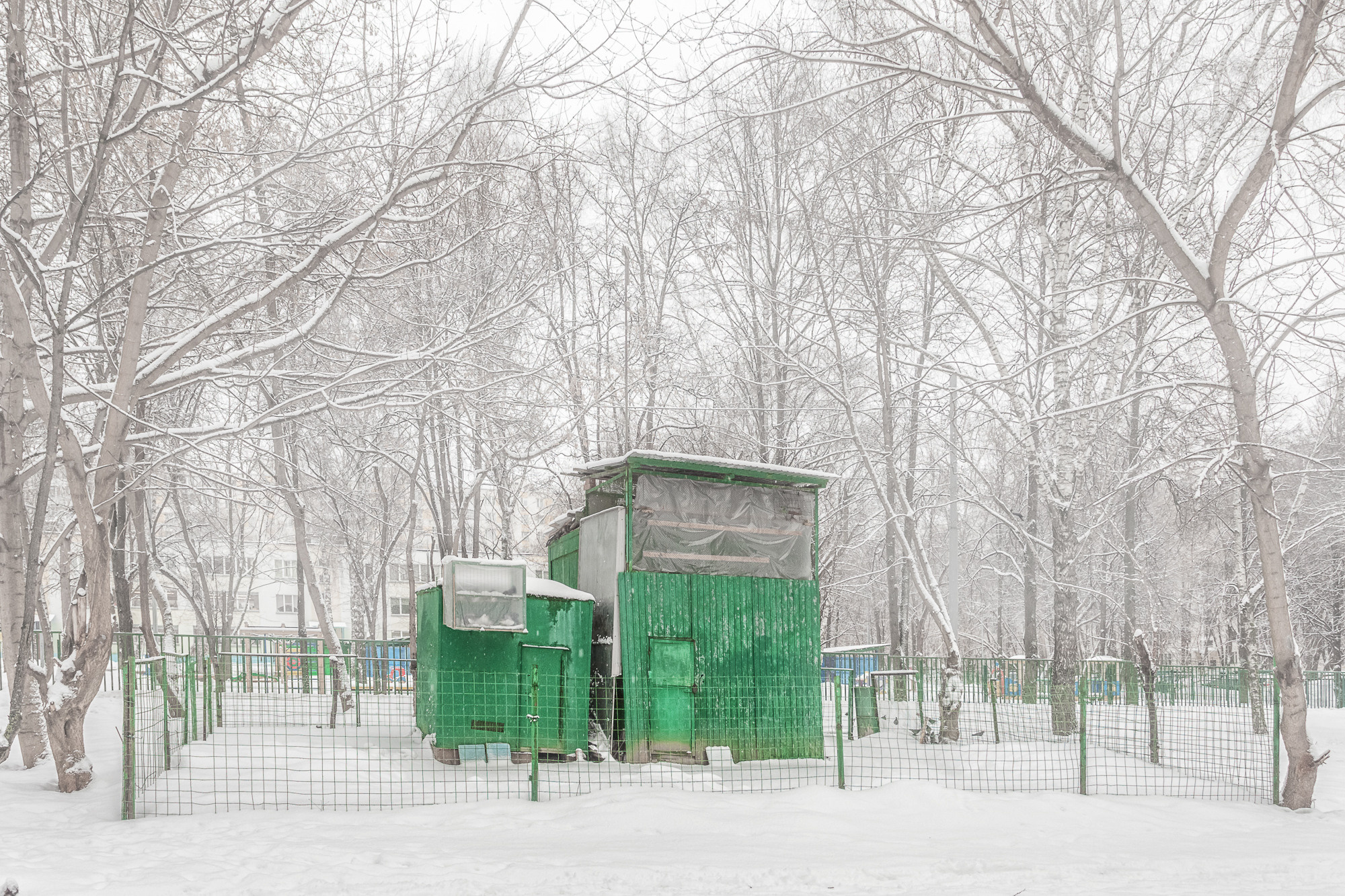 ПРОЕКТ «Они смотрят в небо, или На птичьих правах». Фотограф в Москве Татьяна Макотра