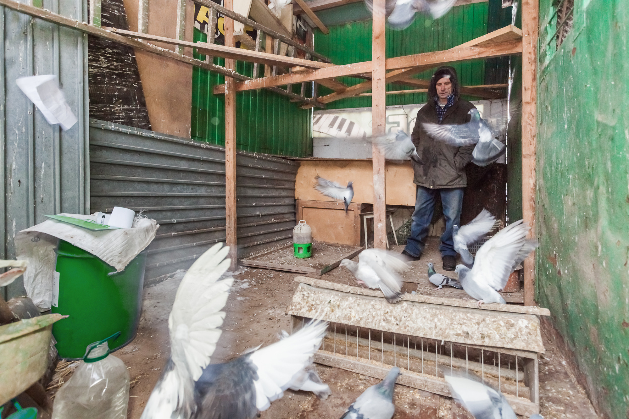 ПРОЕКТ «Они смотрят в небо, или На птичьих правах». Фотограф в Москве Татьяна Макотра