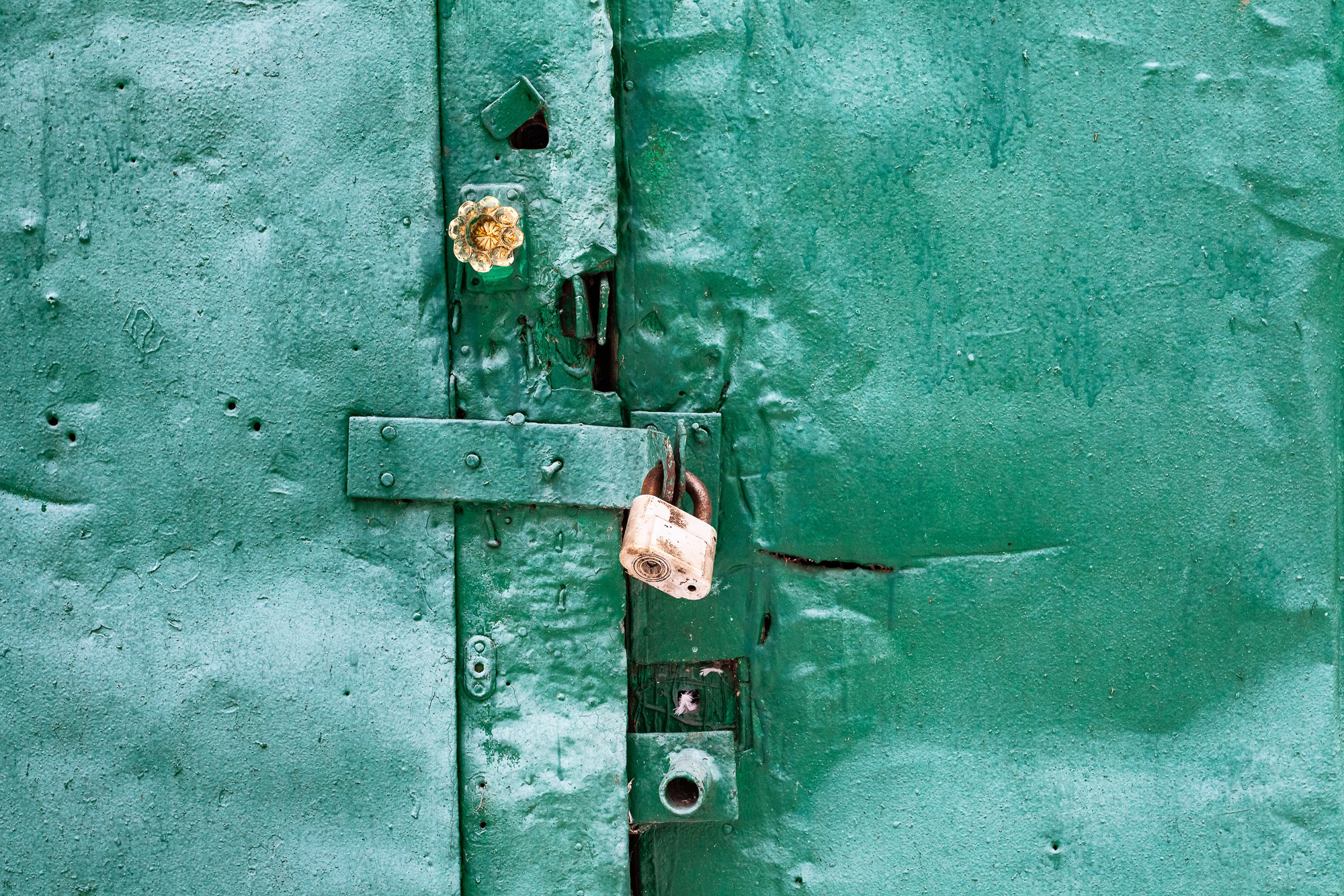 ПРОЕКТ «Они смотрят в небо, или На птичьих правах». Фотограф в Москве Татьяна Макотра