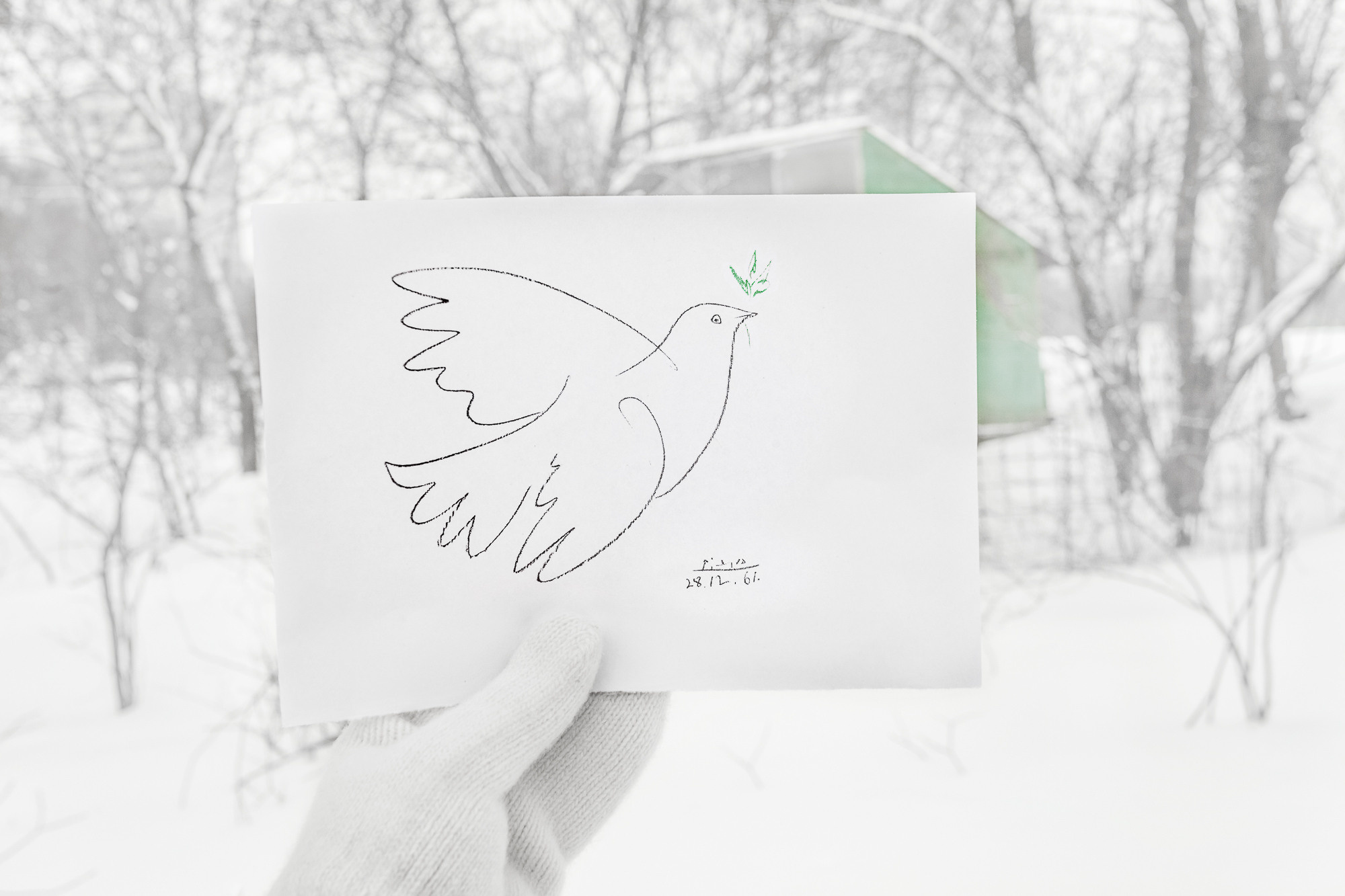 ПРОЕКТ «Они смотрят в небо, или На птичьих правах». Фотограф в Москве Татьяна Макотра