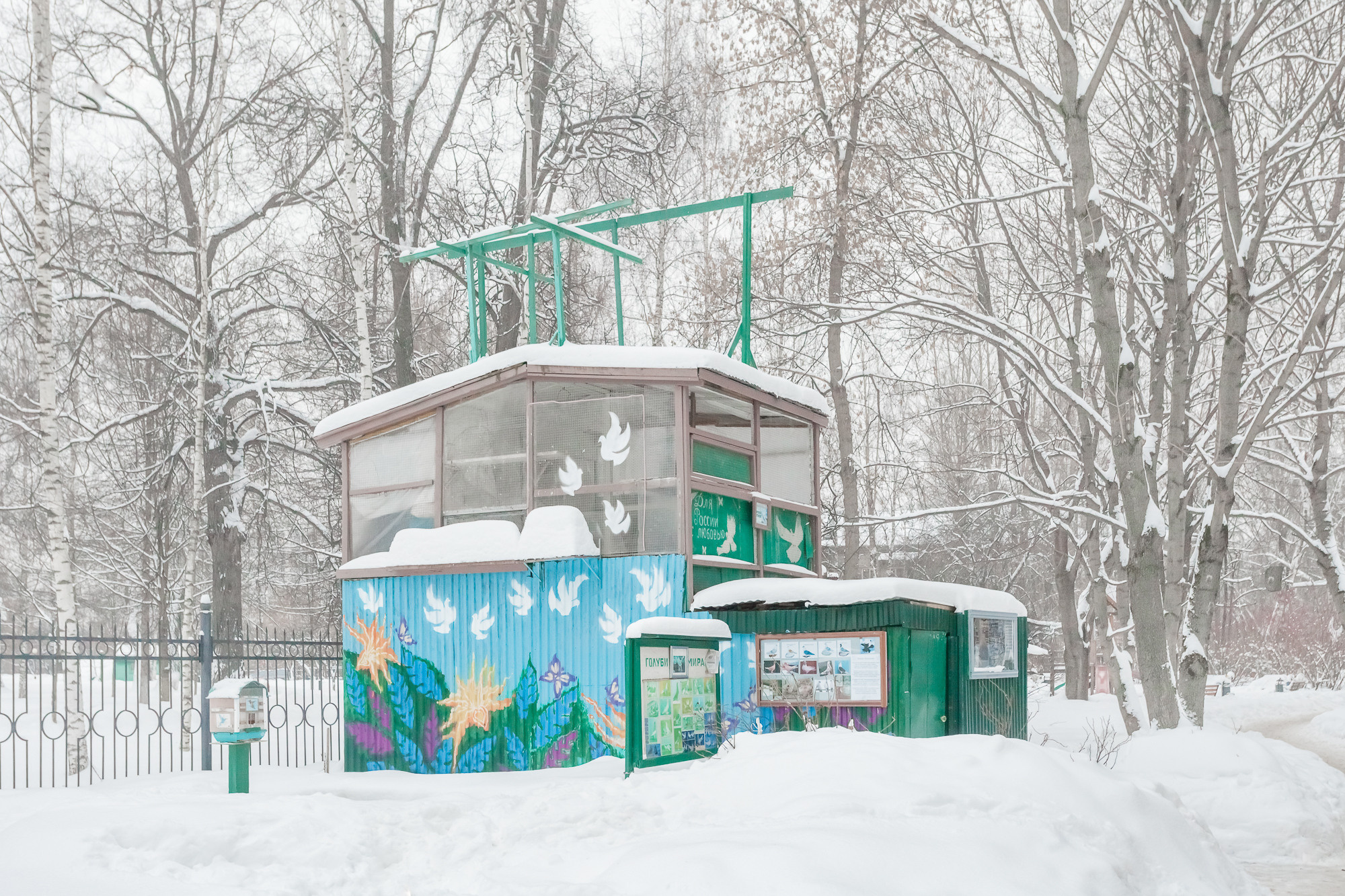 ПРОЕКТ «Они смотрят в небо, или На птичьих правах». Фотограф в Москве Татьяна Макотра