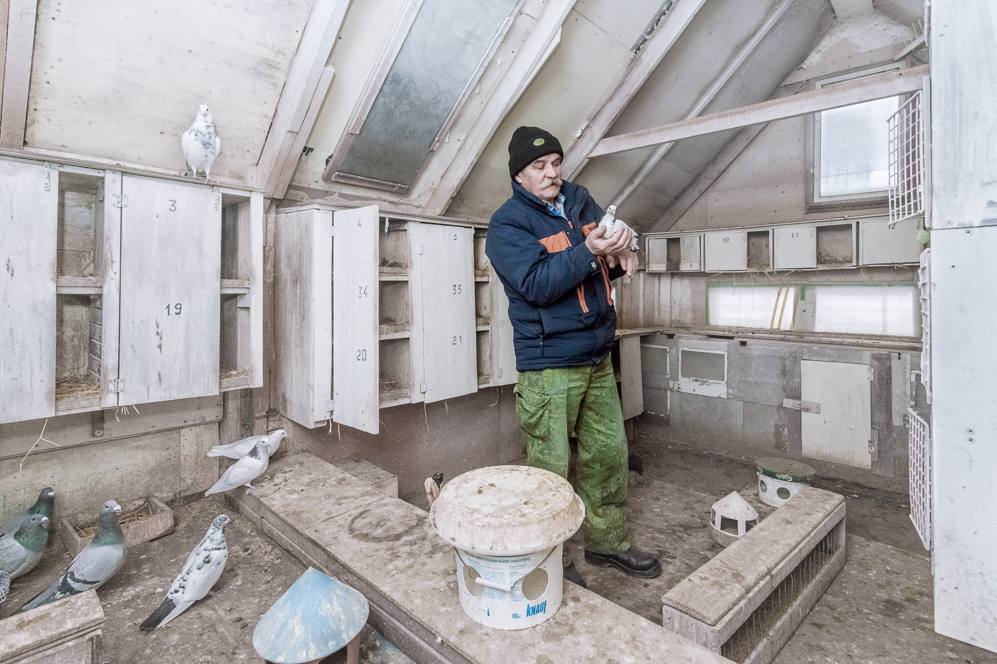 ПРОЕКТ «Они смотрят в небо, или На птичьих правах». Фотограф в Москве Татьяна Макотра