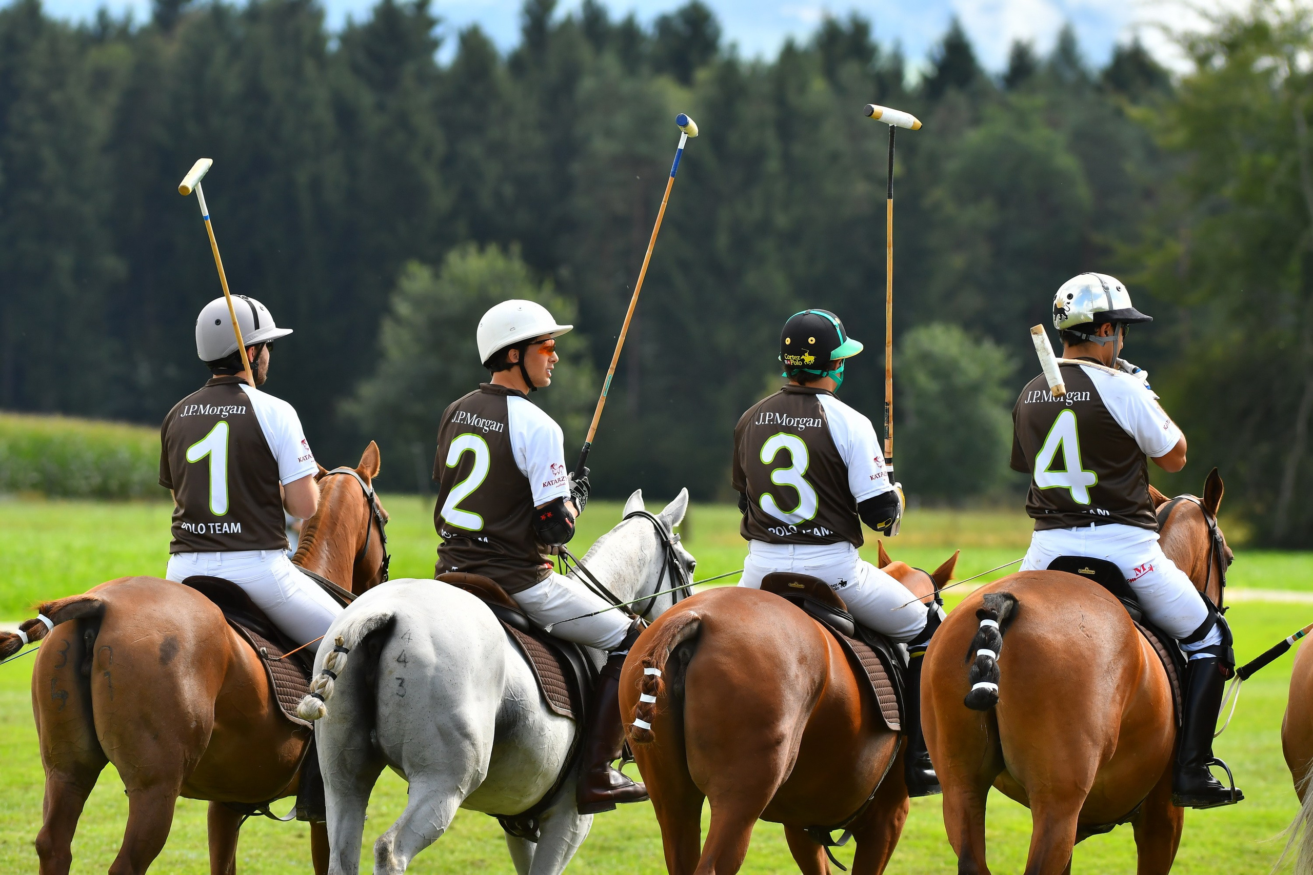 Polo art photos. Art photos of horses — ARTUR BABOEV | Photographer