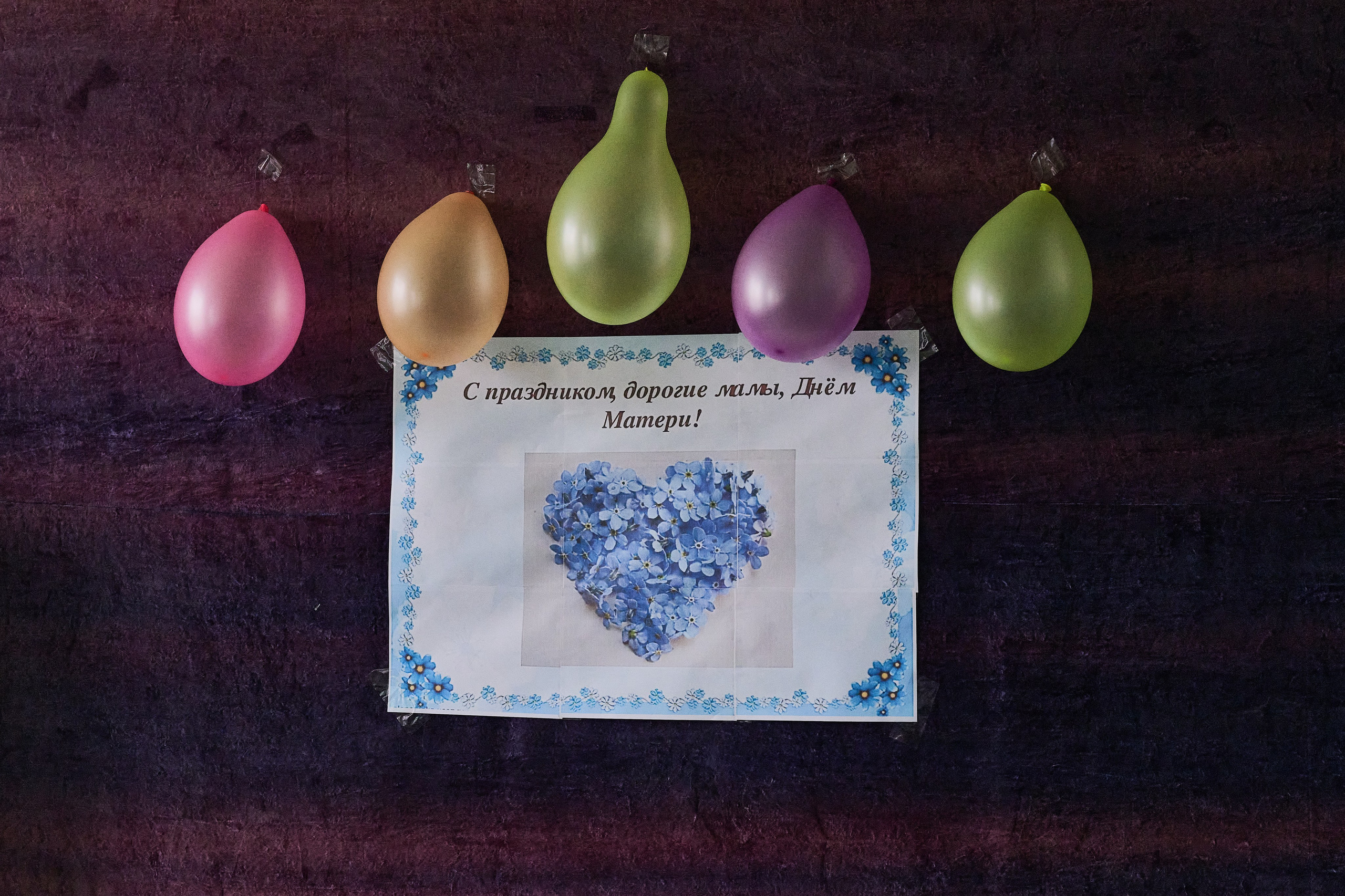 Краснореченское (Луганская область). Ноябрь 2024. Фотограф Роман Адлер