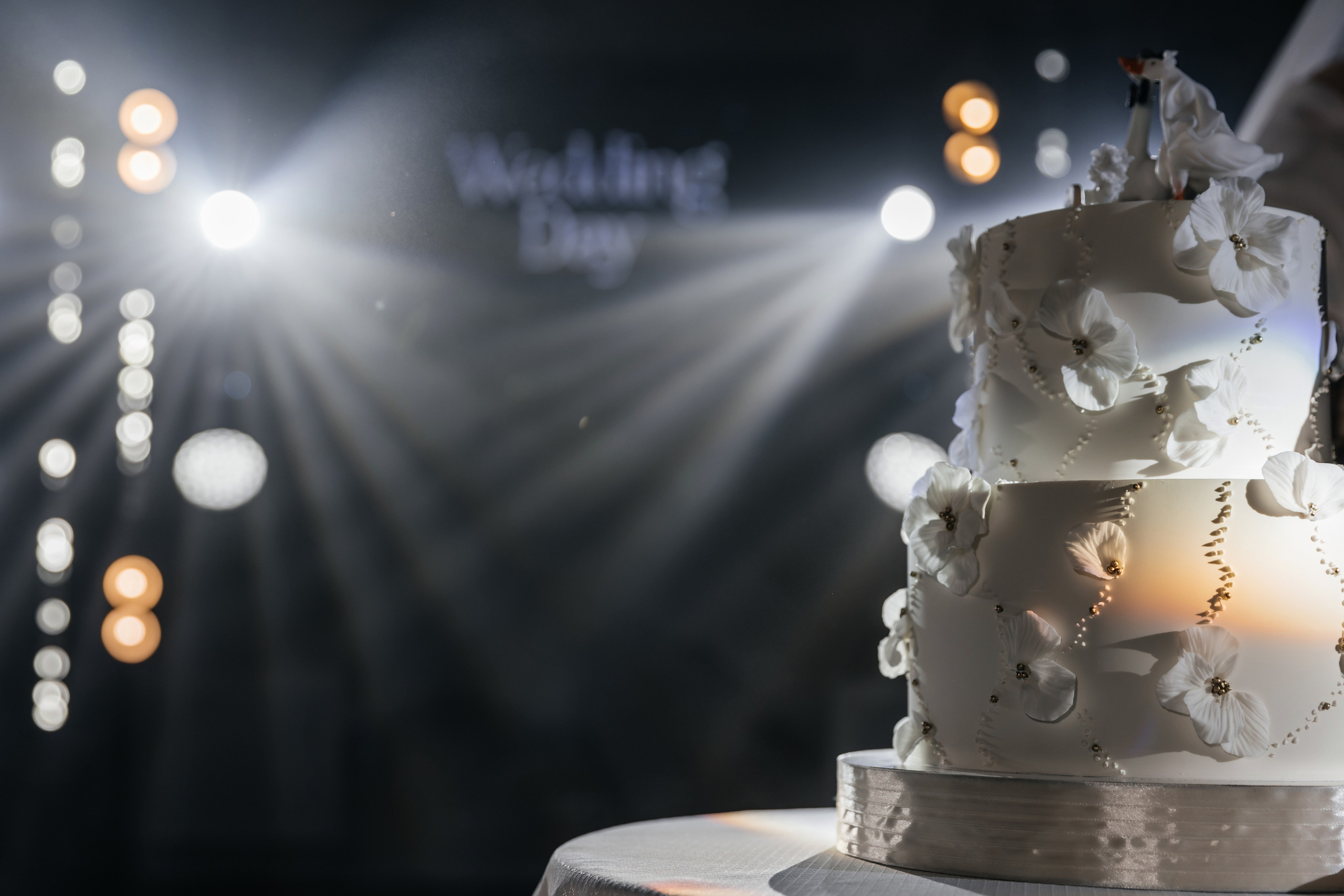 Свадебный и семейный фотограф в Новосибирске Юлия Герасимчук