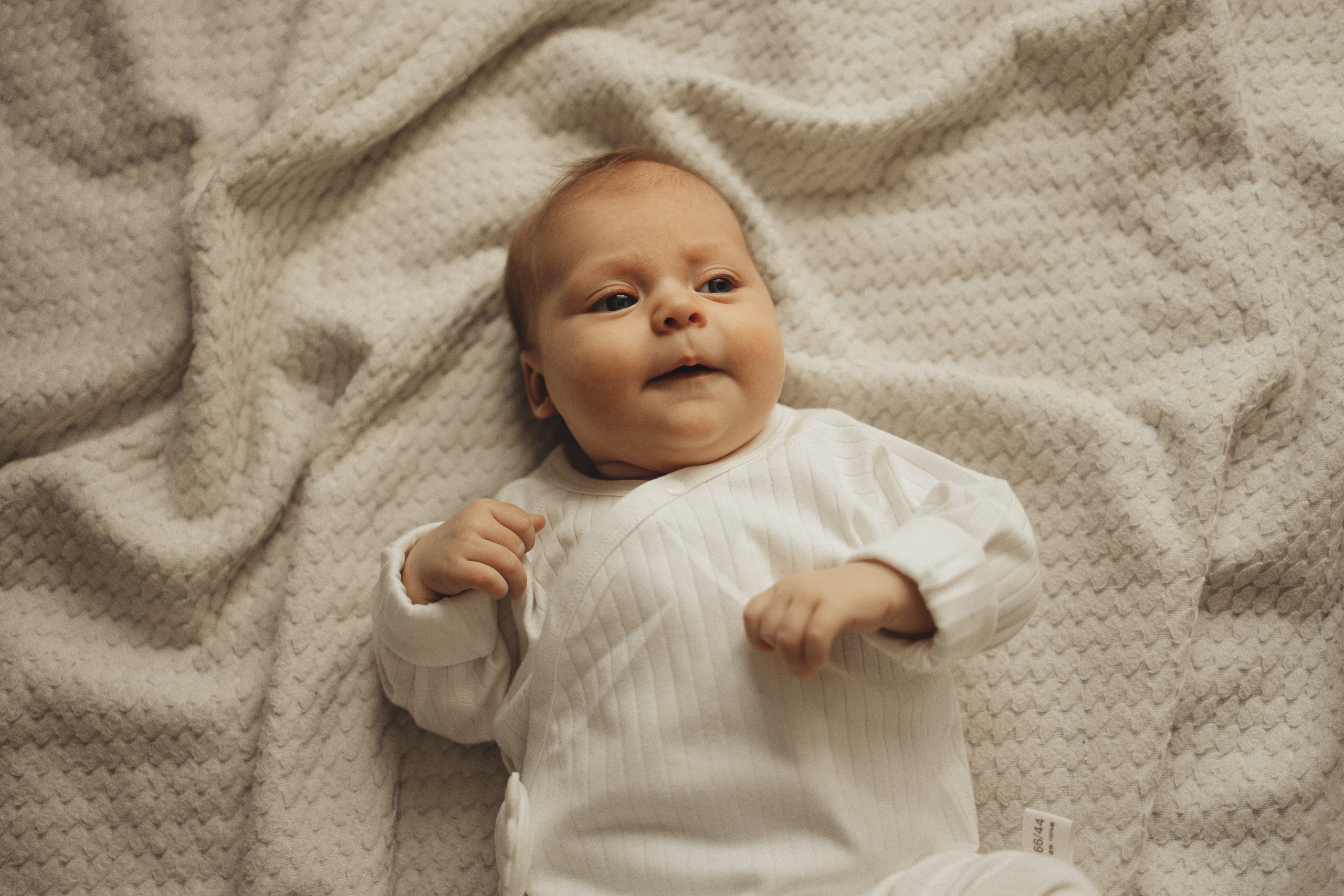 Домашняя история. Семейный и детский фотограф, таганрог, ростов-на-дону