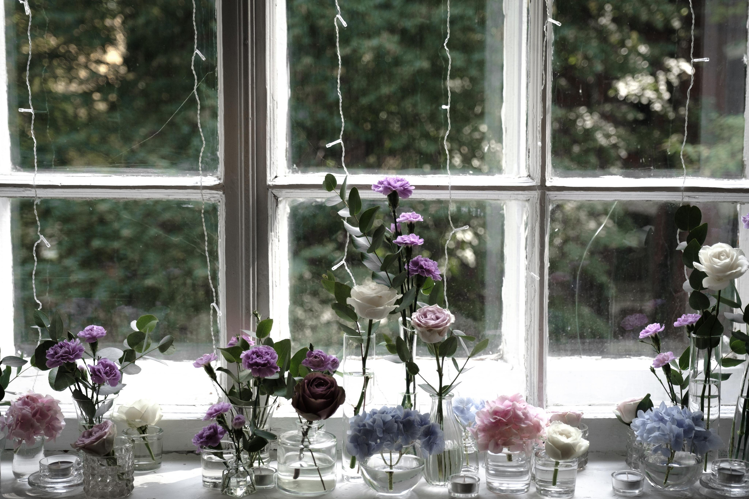 Красные Холмы. Главная