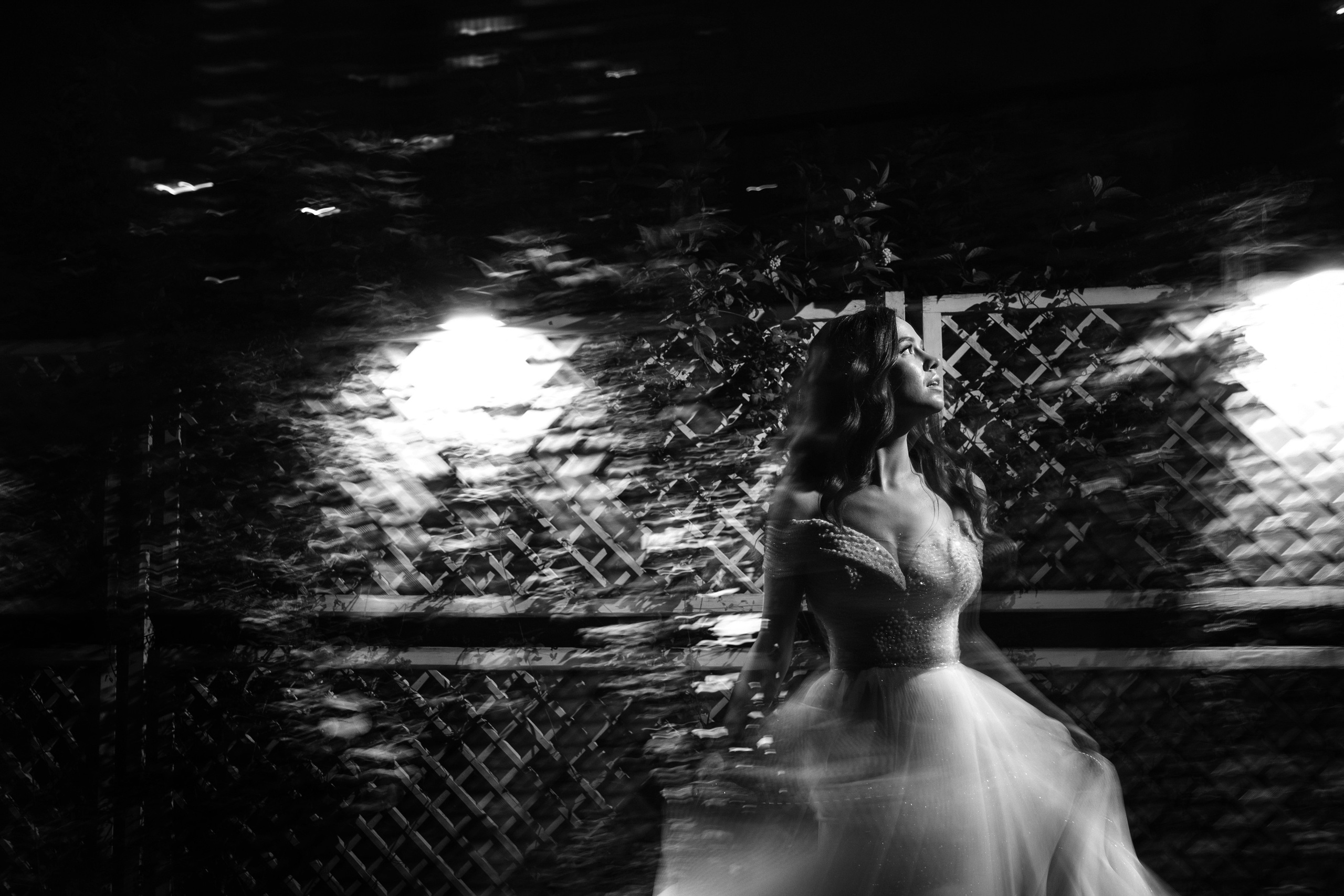 Don David. Главная