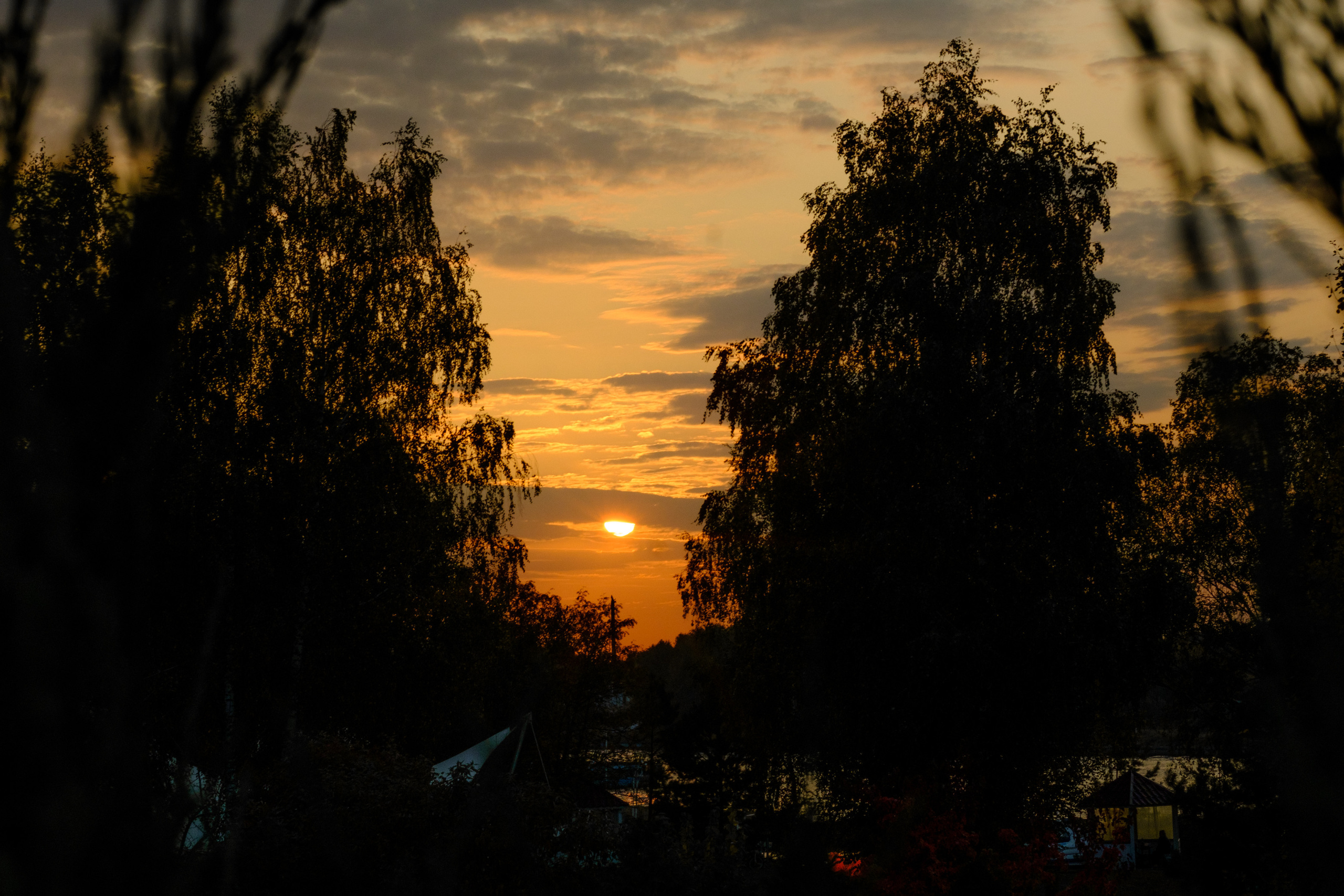 Don David. Главная