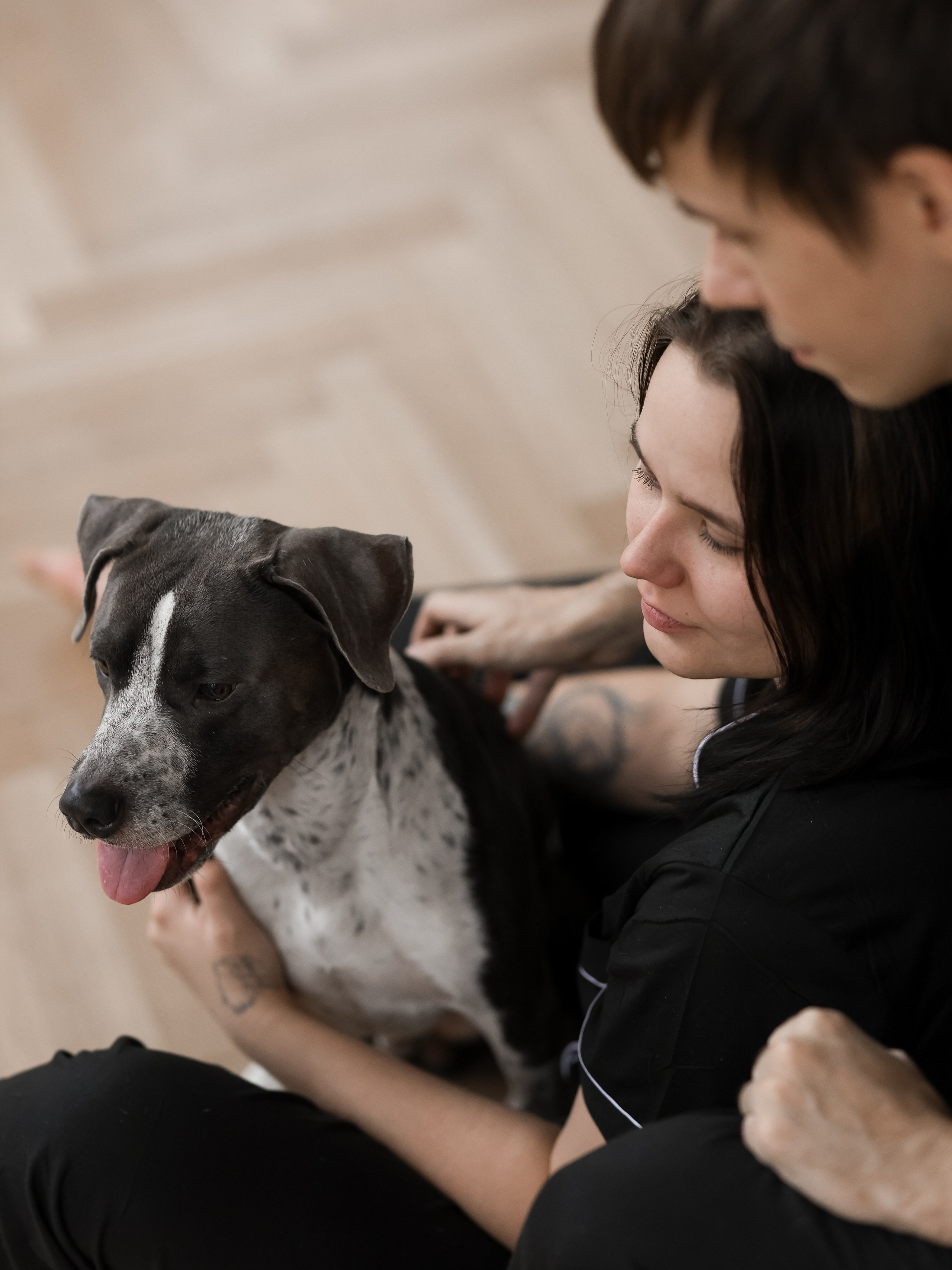 Тортик Даша и Никита. Фотограф-анималист в Москве Кириллова Татьяна