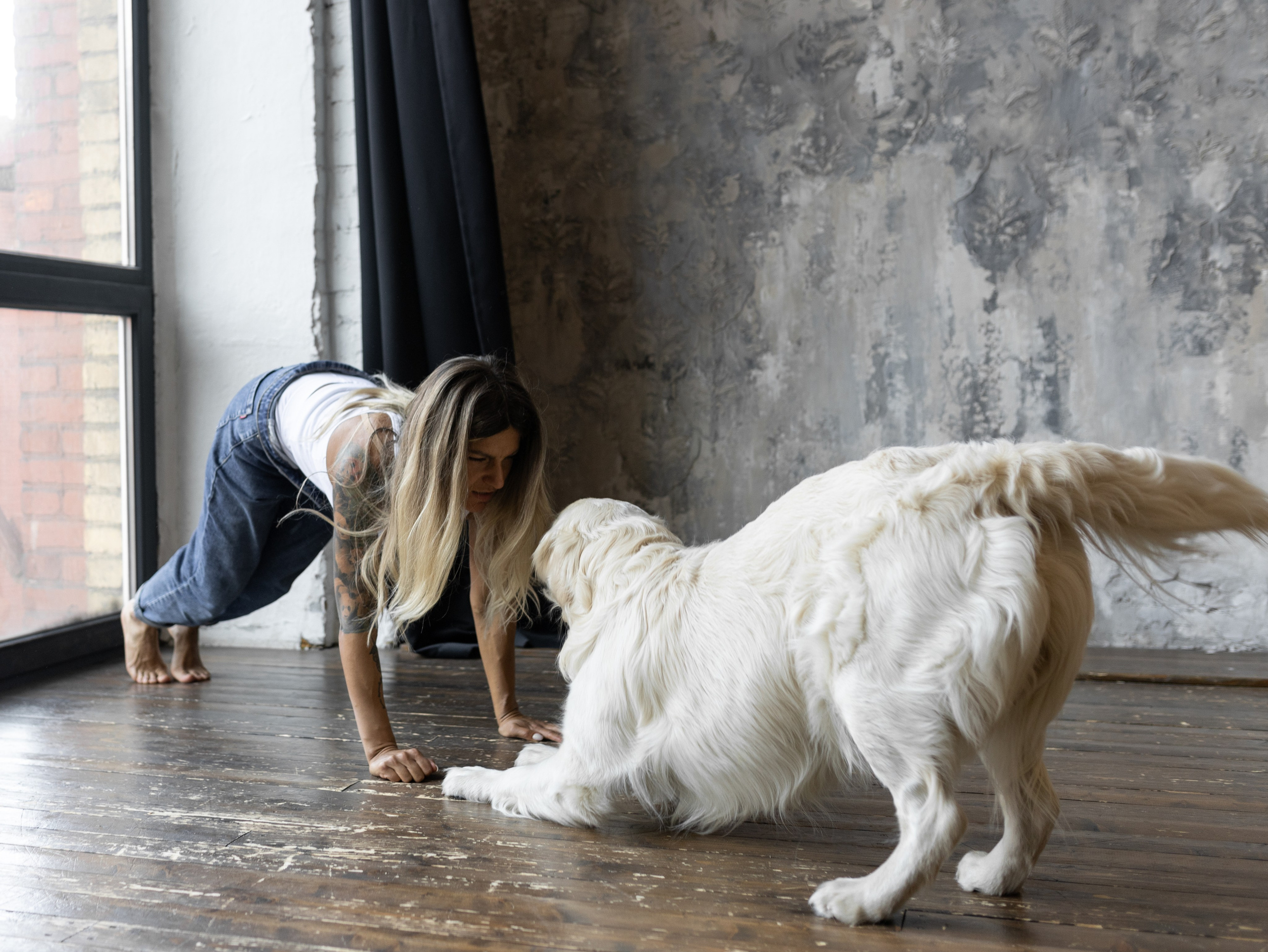 Энди и Настя. Фотограф-анималист в Москве Кириллова Татьяна