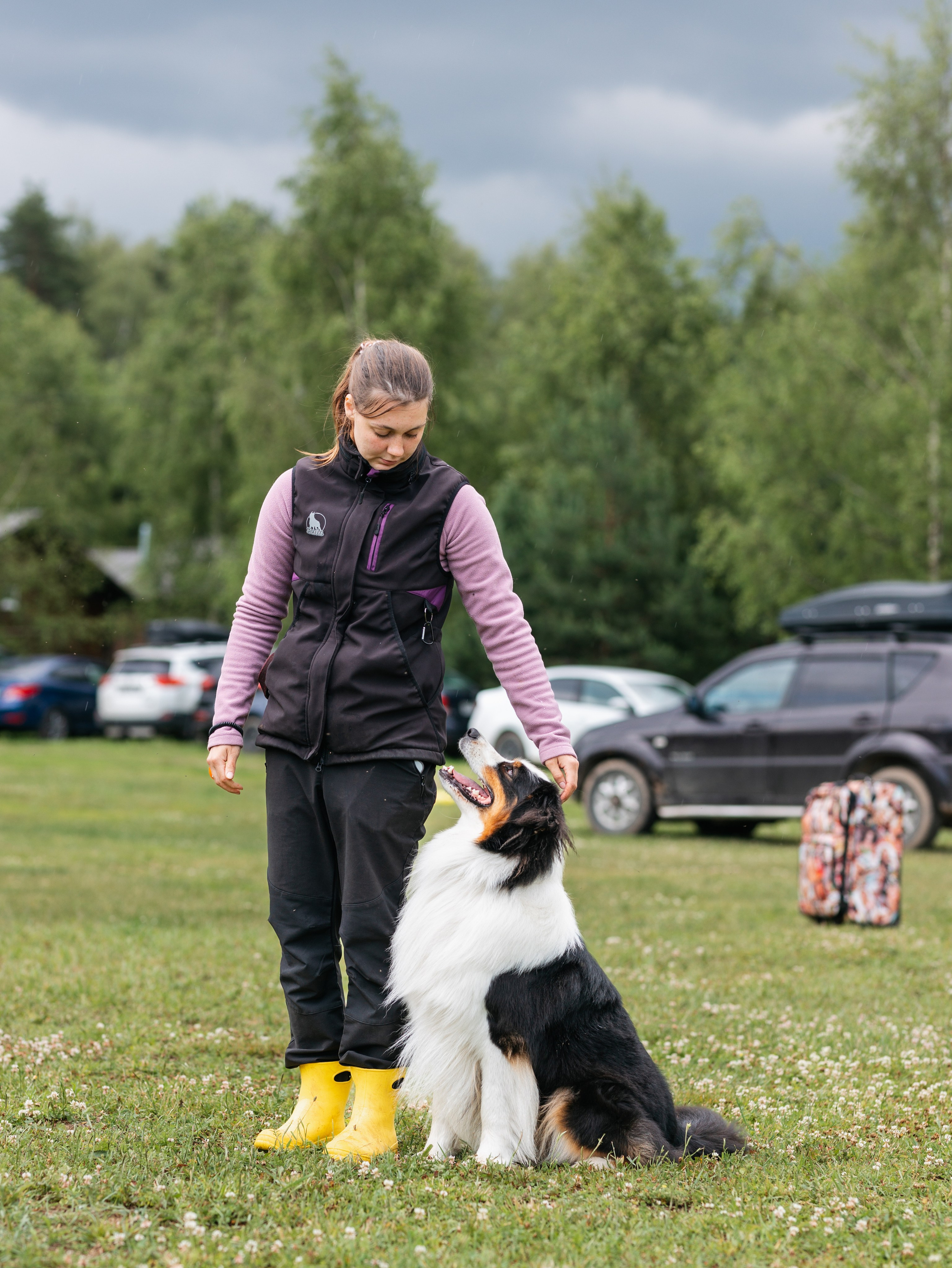 Лагерь ноузворк. Фотограф-анималист в Москве Кириллова Татьяна