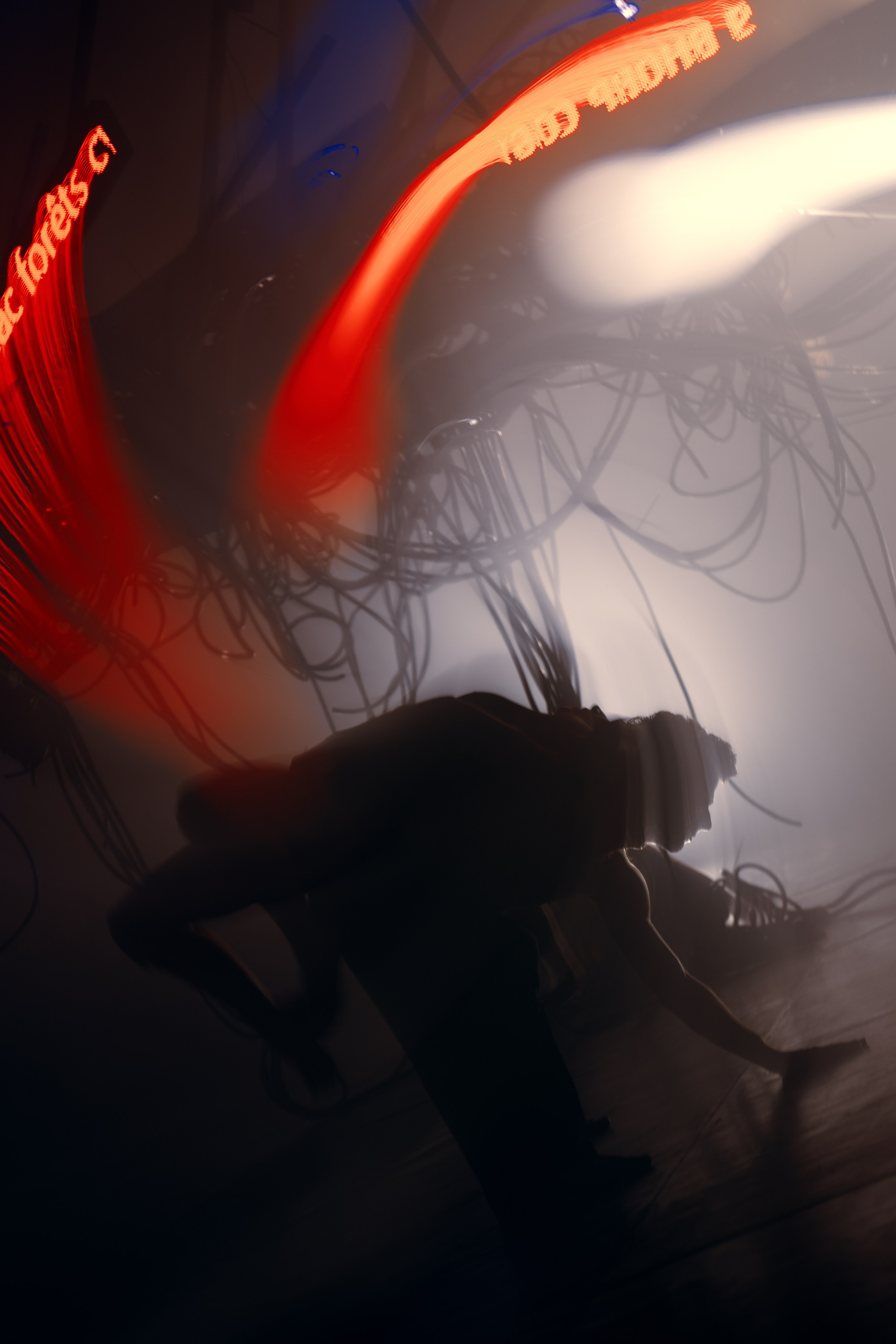 PERFORMA, The Hour of the Horse. @tomrus: Рустам Шагиморданов — фотограф