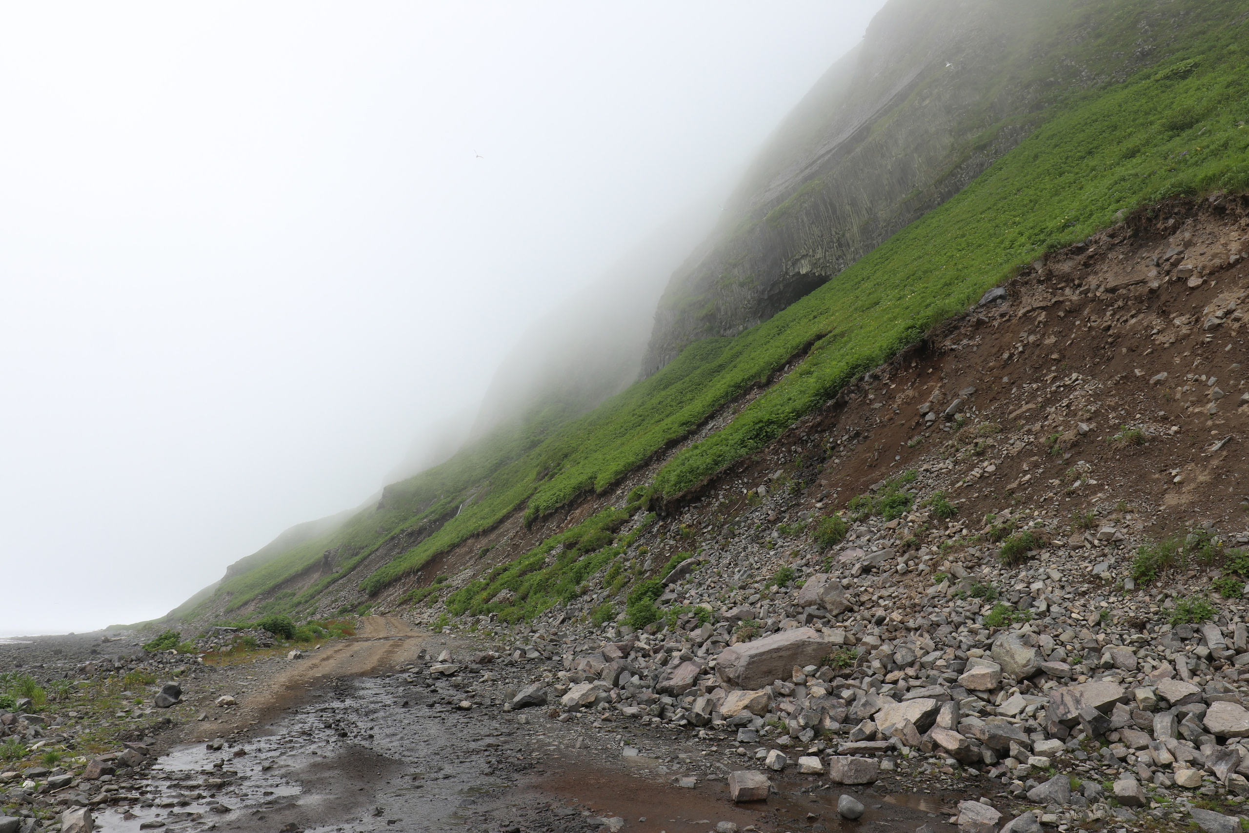 Камчатка и о. Парамушир. Июль 2024. Путешественник-фотограф из Санкт-Петербурга Татьяна Свистулина