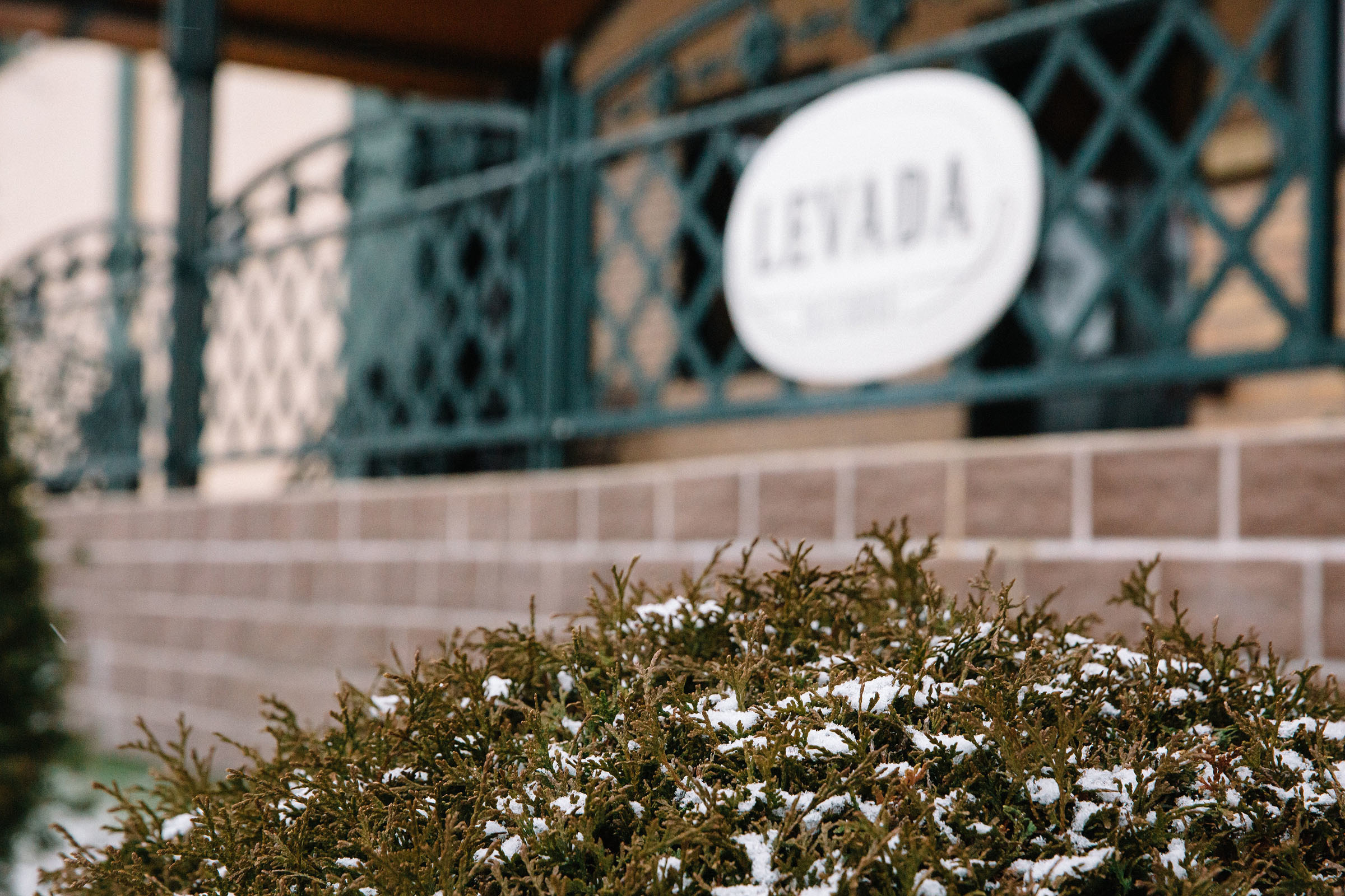 День рождения в LEVADA. Семейный и свадебный фотограф в Майкопе Михаил Мартиросян