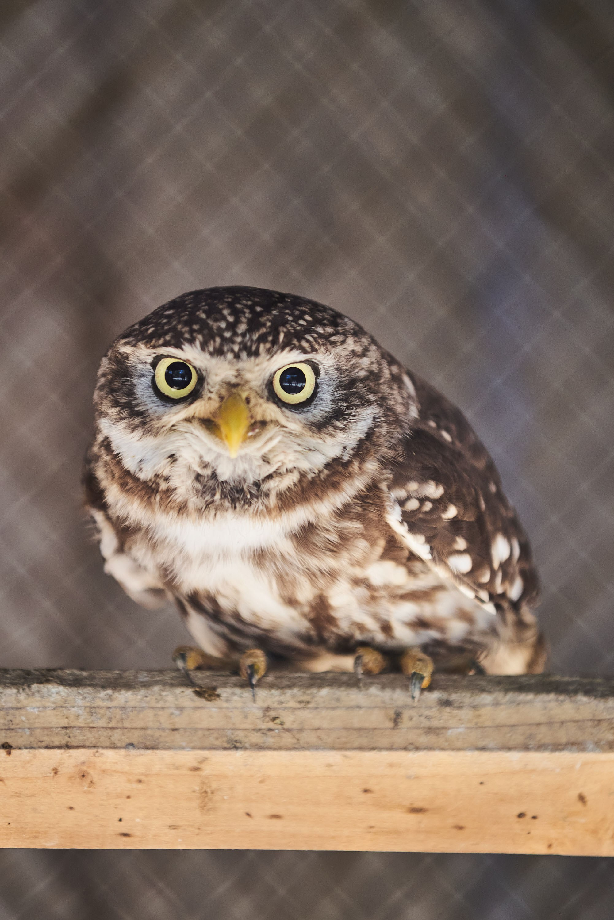 Зоопарк Иваново. Фотограф в Иваново: Каталожная съемка одежды и постельного белья, Wildberries