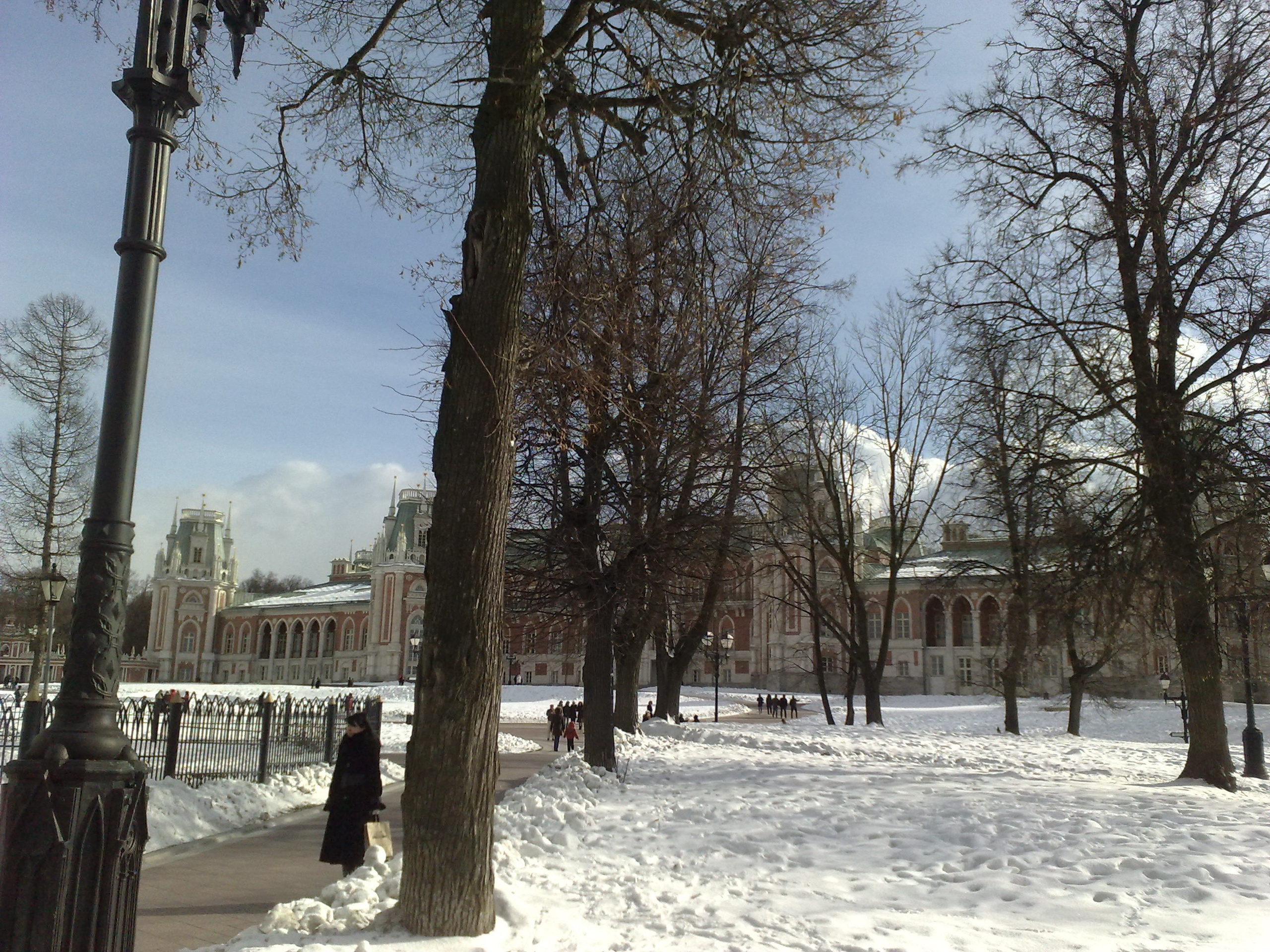 Царицино музей-усадьба. Питомник китайских хохлатых собак Poale Ell: купить щенка в питомнике