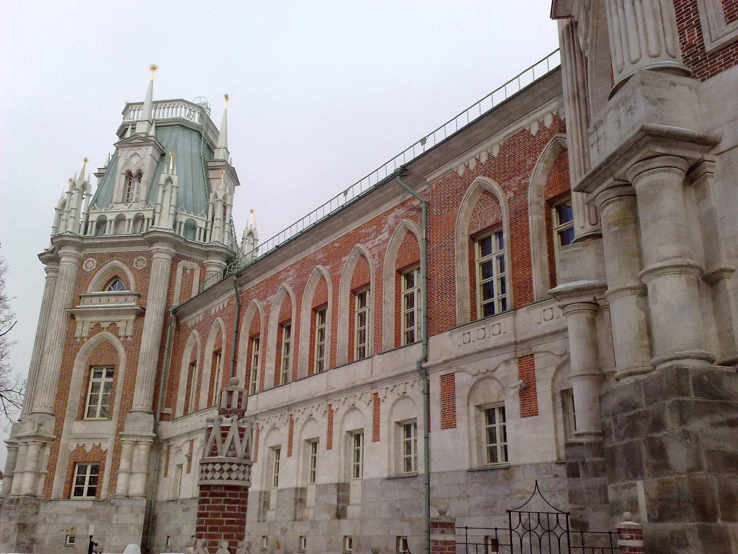 Царицино музей-усадьба. Питомник китайских хохлатых собак Poale Ell: купить щенка в питомнике