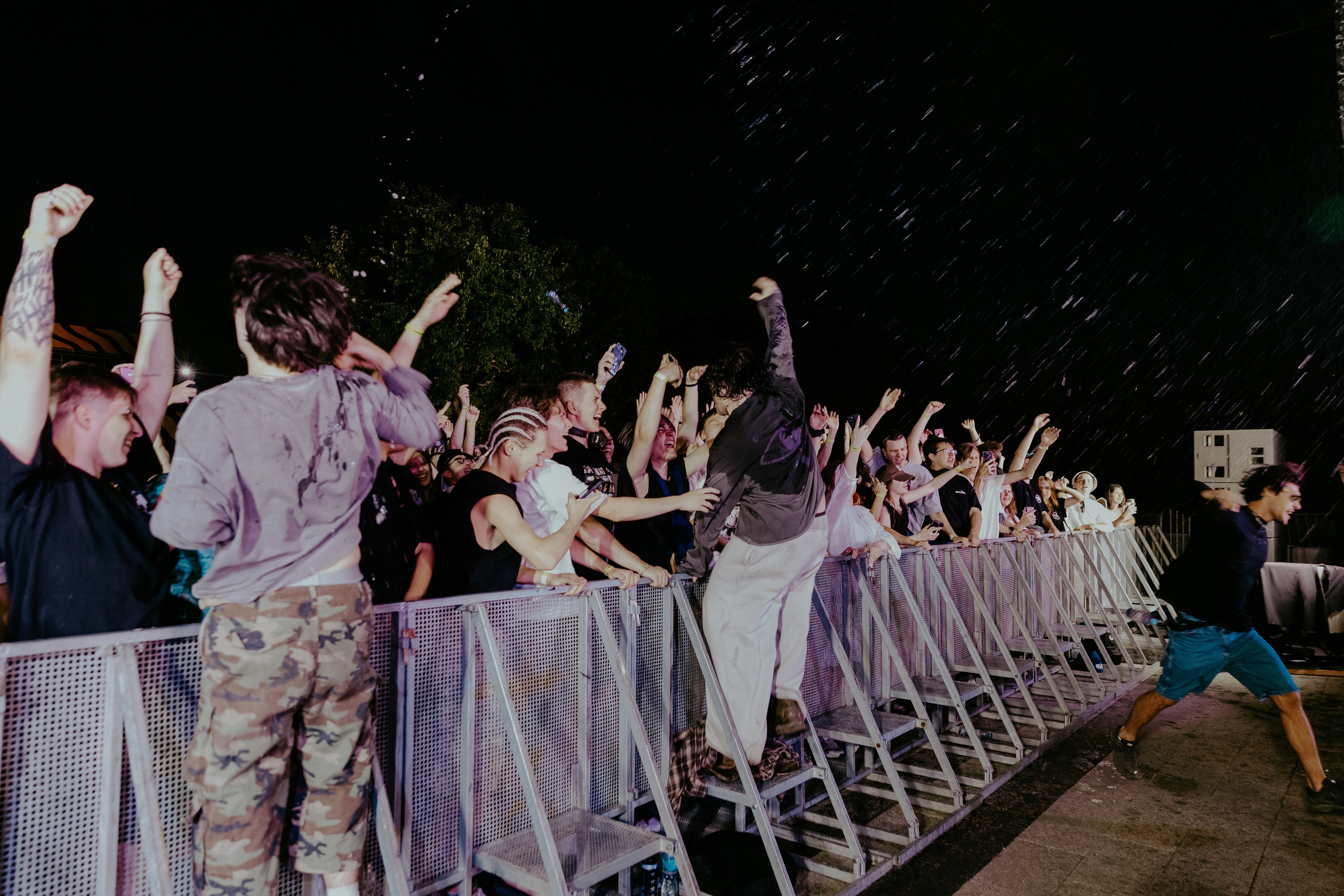 Saluki. Фотограф Нижний Новгород — Дмитрий Грехов