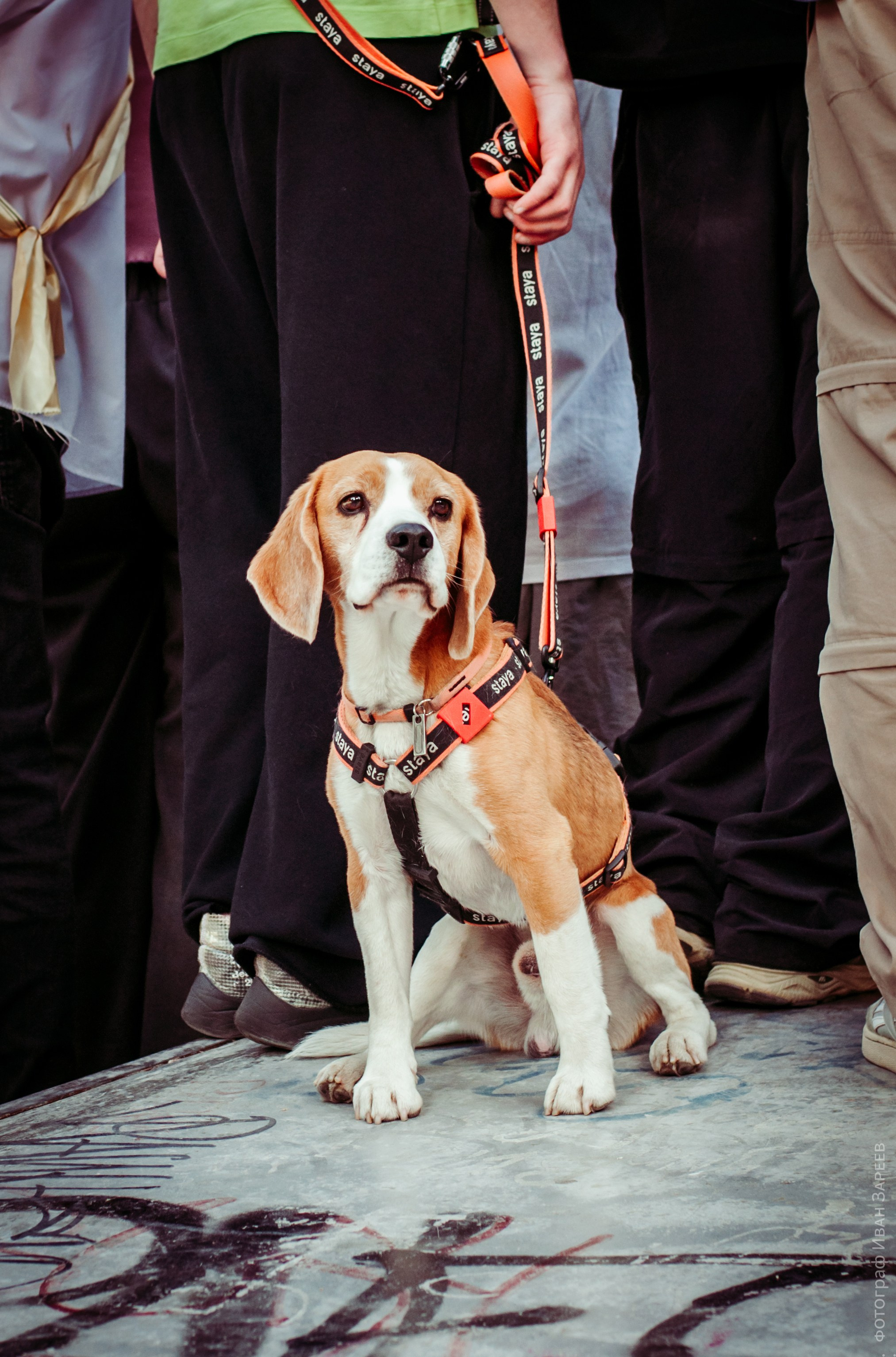 Граффити и брейкинг. Репортажный фотограф в Симферополе Зареев Иван