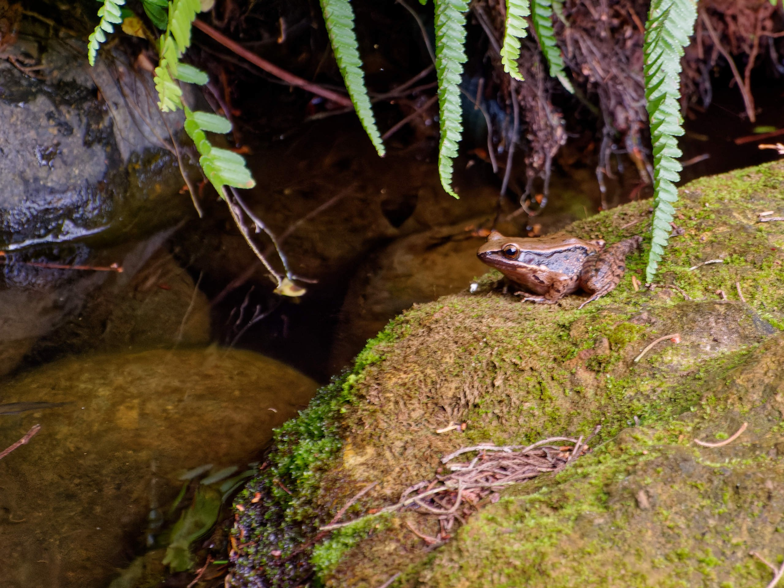 Далат 2023. Избранные фотографии