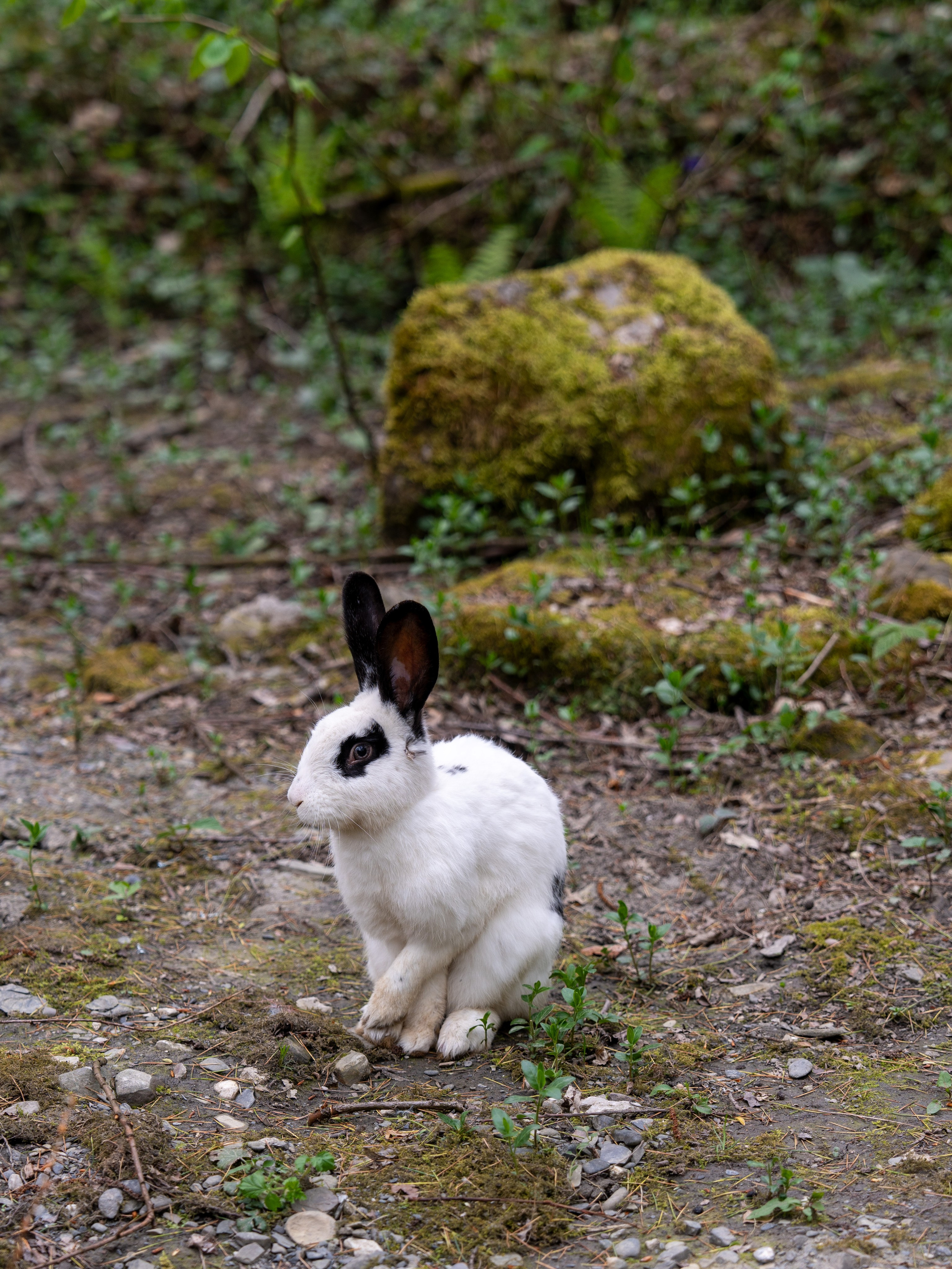 MICE мероприятие — джиппинг на каньон Псахо. Репортажный фотограф в Красной Поляне и Сочи Павлюченко Екатерина