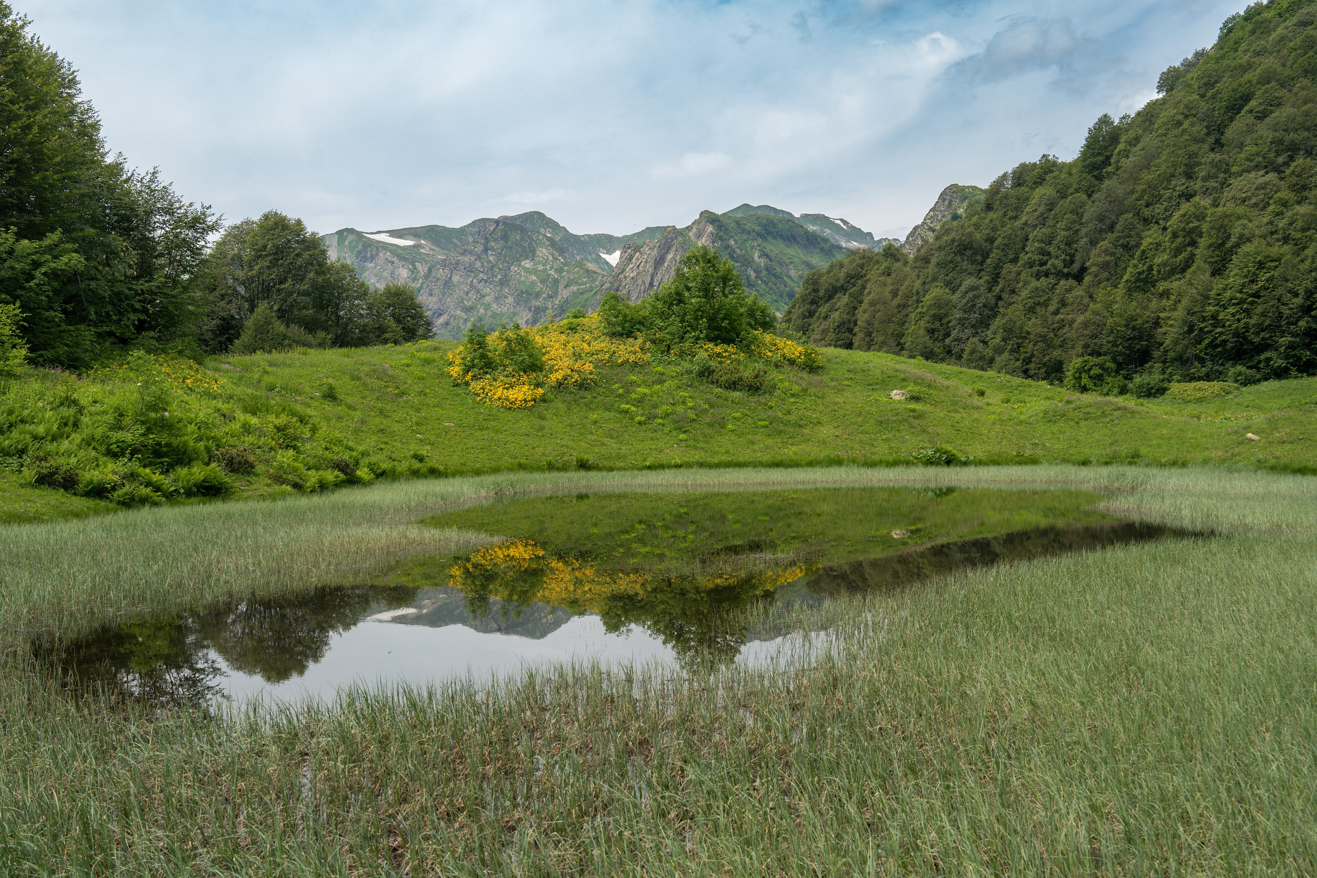MICE мероприятие для компании «Доставка морем»: хайкинг к Ачипсинским водопадам. Репортажный фотограф в Красной Поляне и Сочи Павлюченко Екатерина