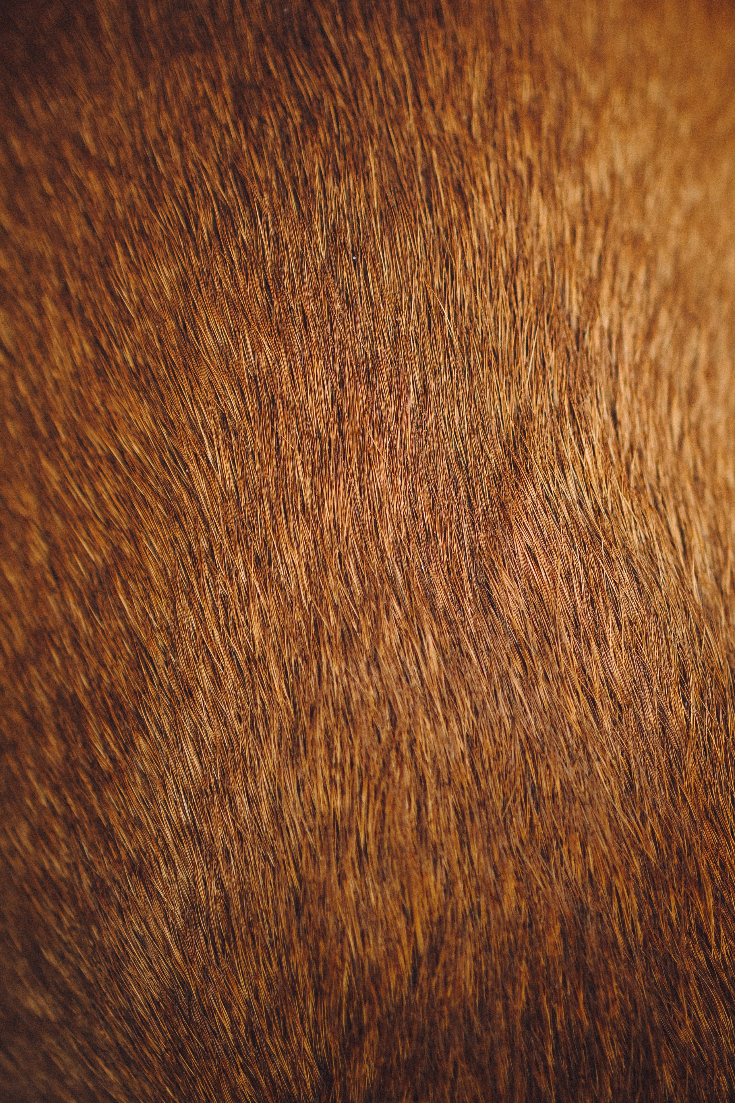 Элли и ее семья